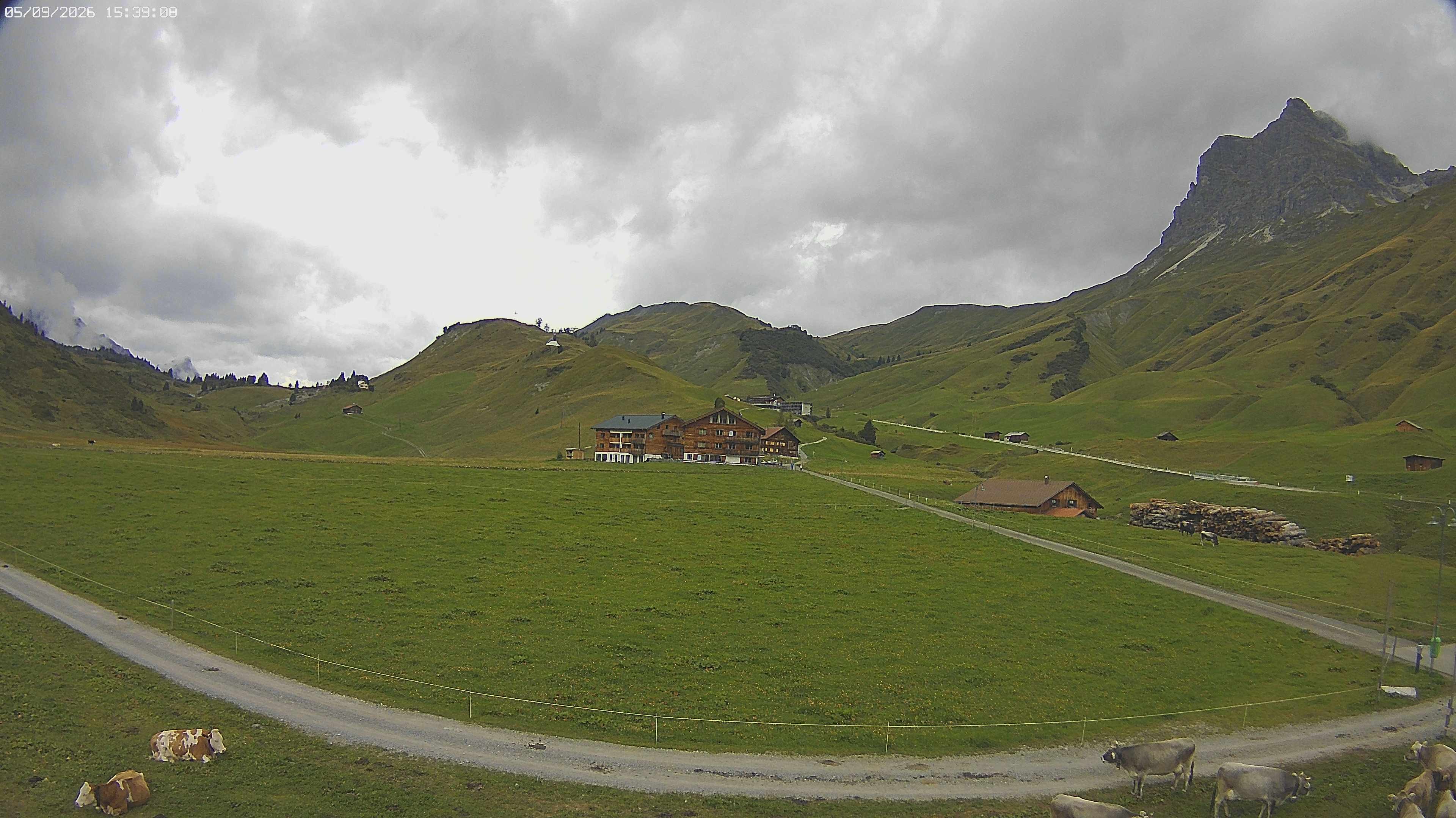 Archived image Webcam Jägeralpe near Warth