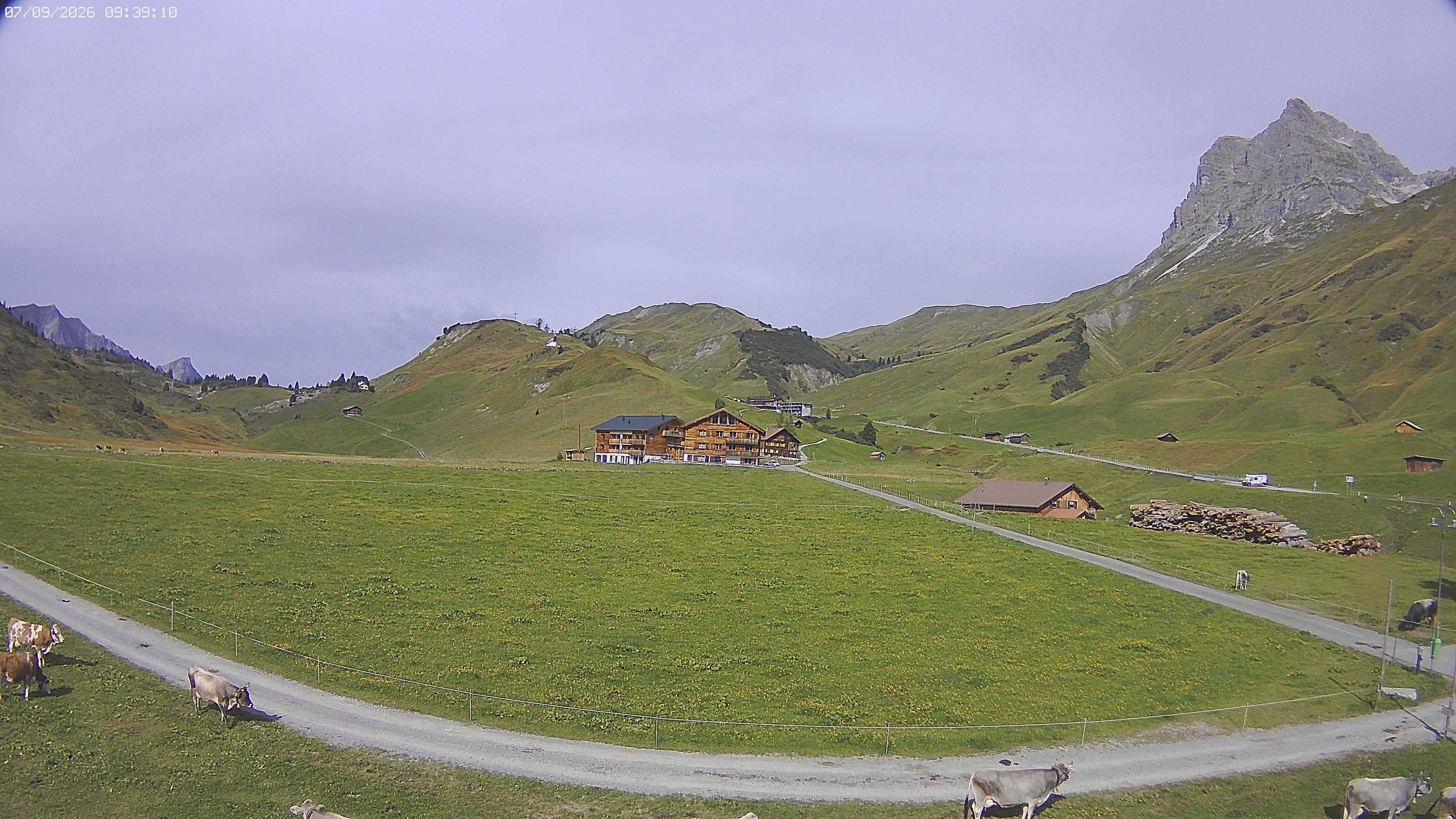 Archiv Foto Webcam Jägeralpe bei Warth