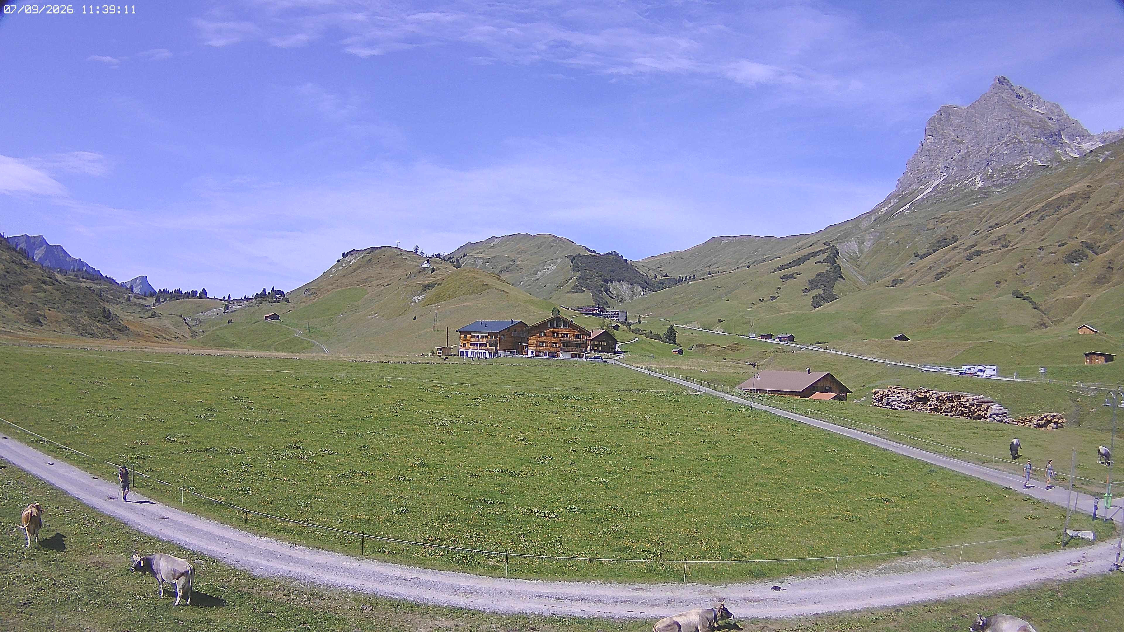 Archiv Foto Webcam Jägeralpe bei Warth