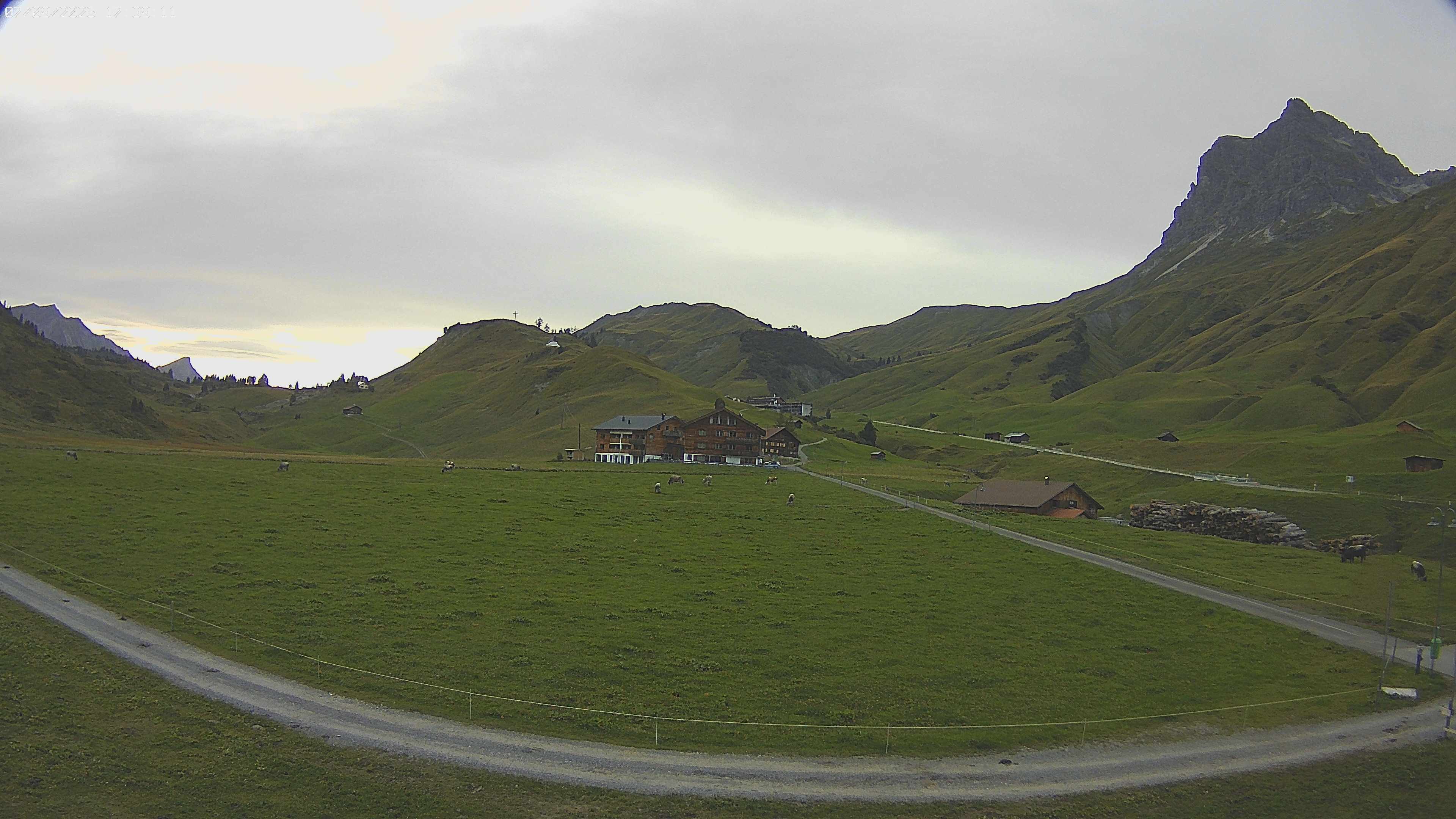 Archiv Foto Webcam Jägeralpe bei Warth