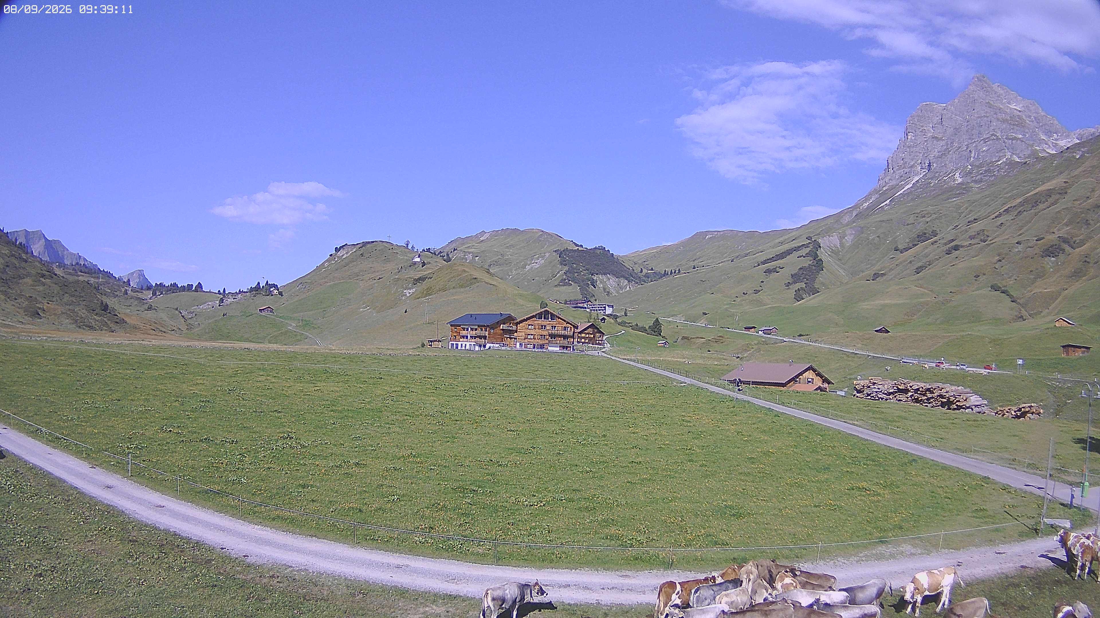 Archiv Foto Webcam Jägeralpe bei Warth