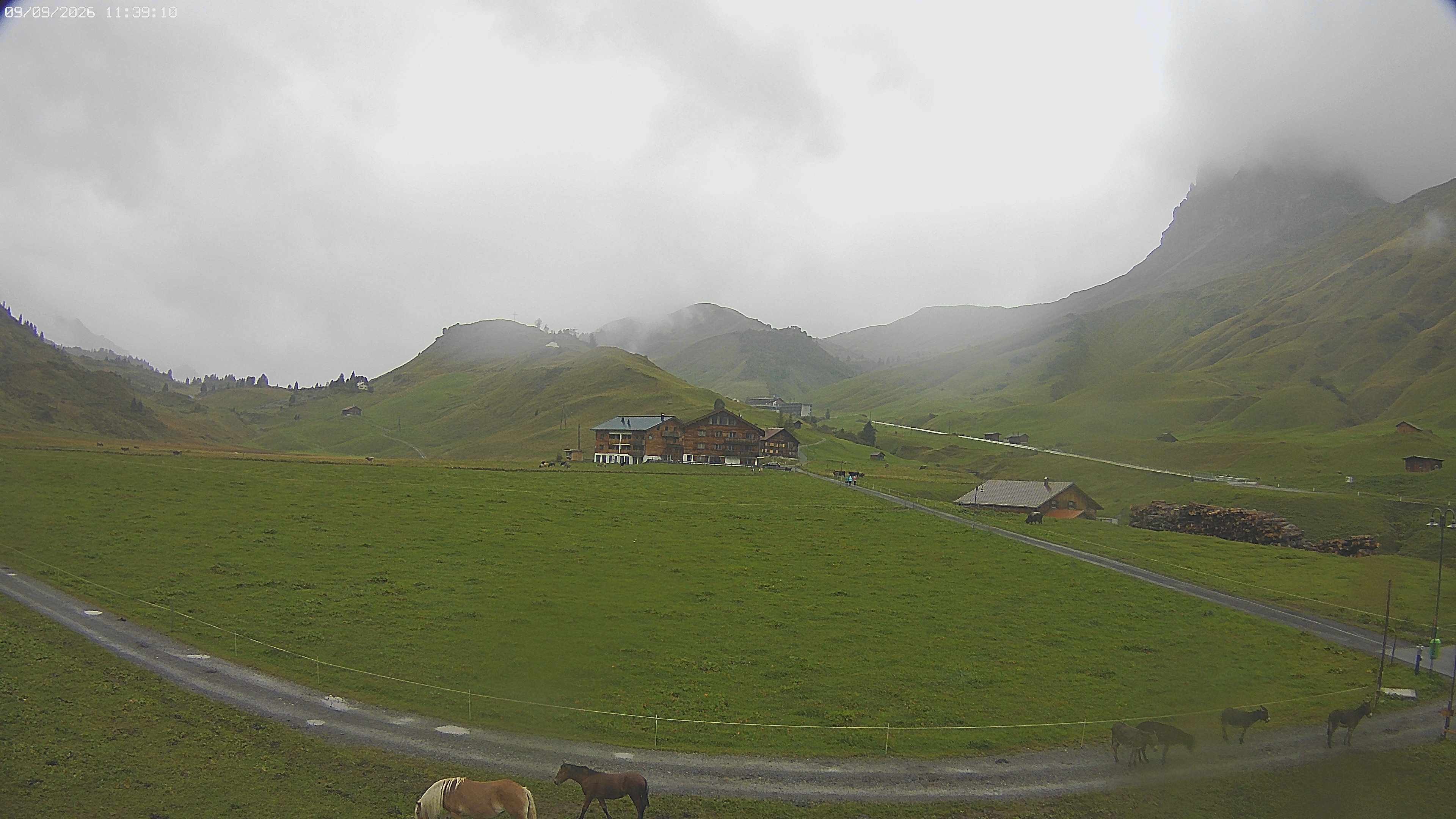 Archiv Foto Webcam Jägeralpe bei Warth