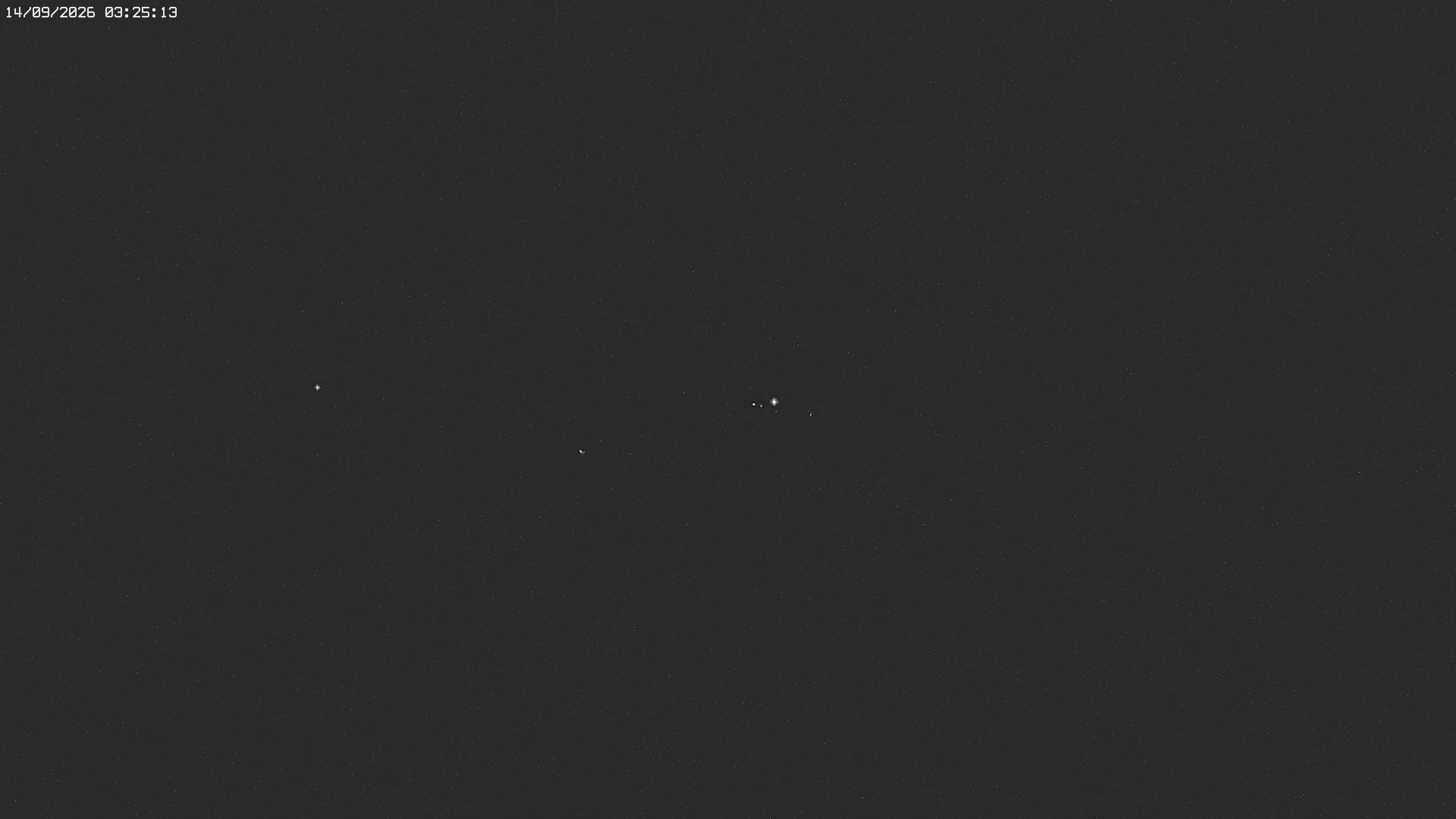 Archived image Webcam Jägeralpe near Warth