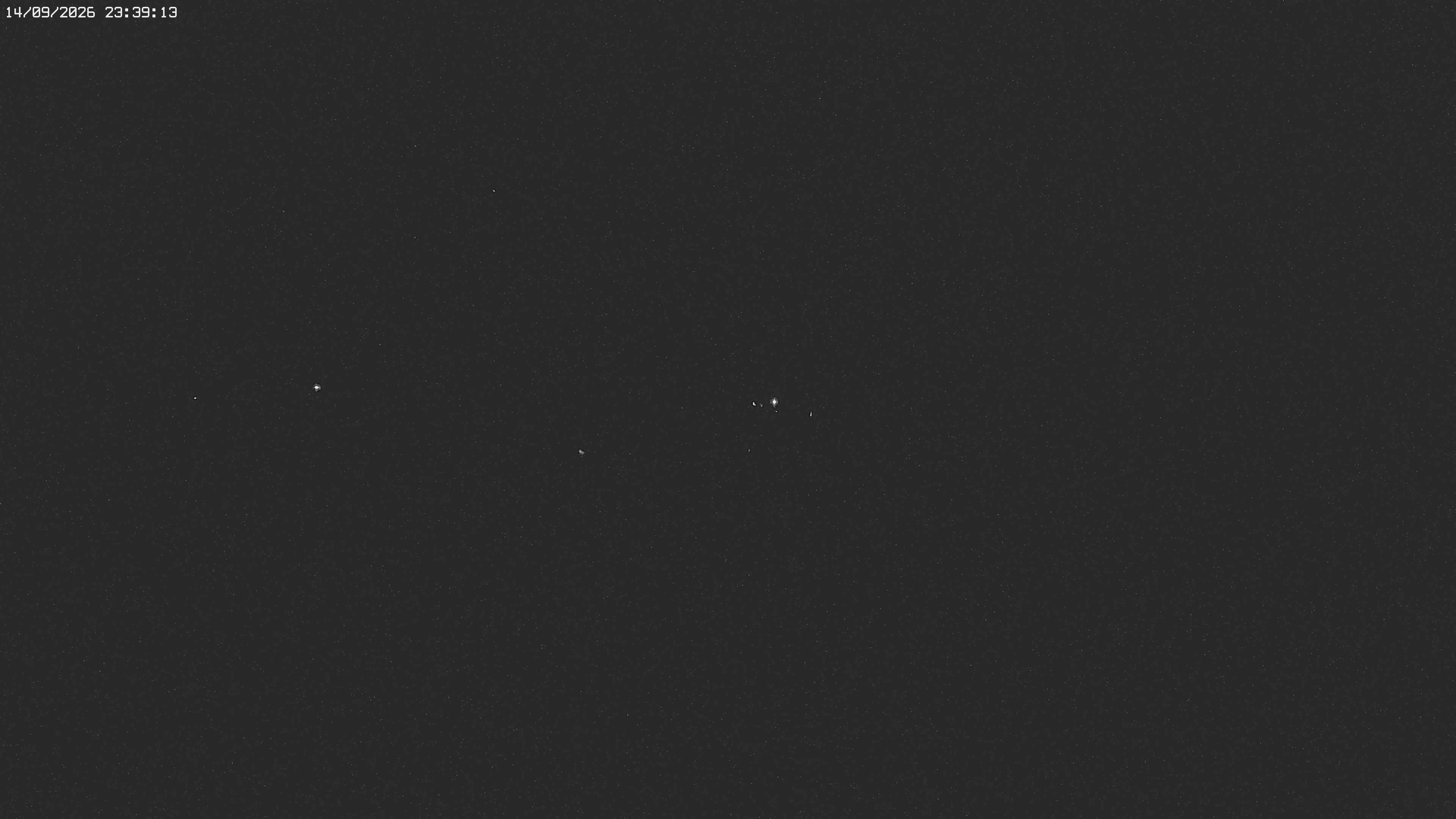 Archiv Foto Webcam Jägeralpe bei Warth