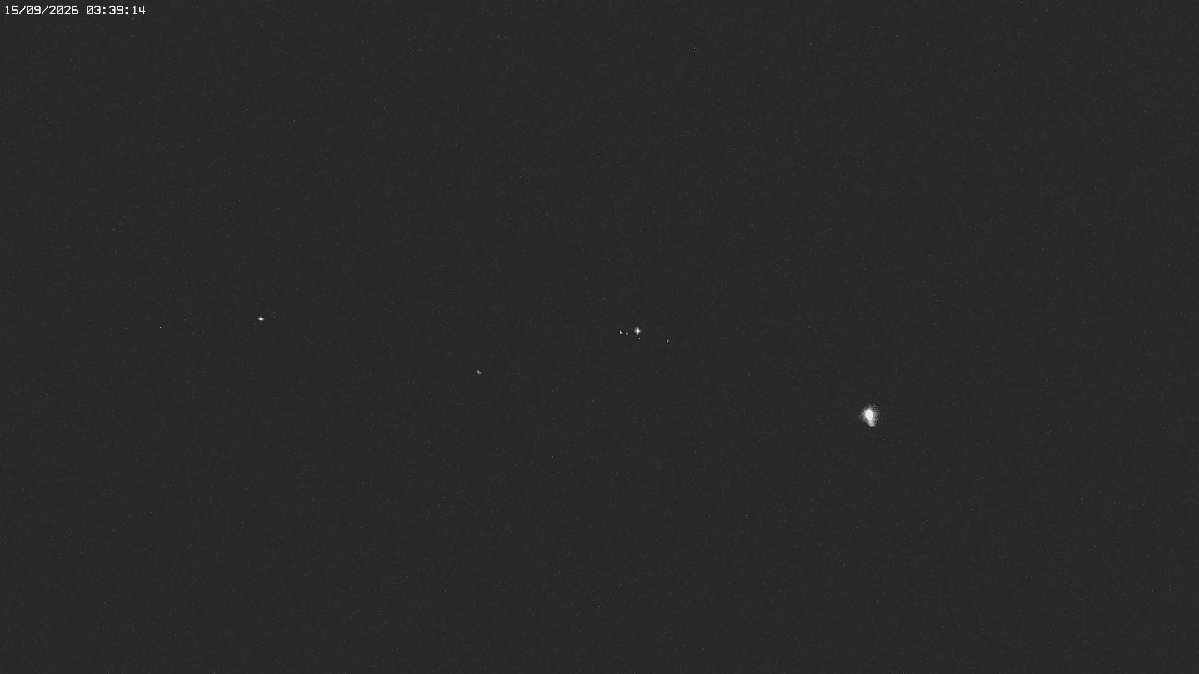 Archiv Foto Webcam Jägeralpe bei Warth