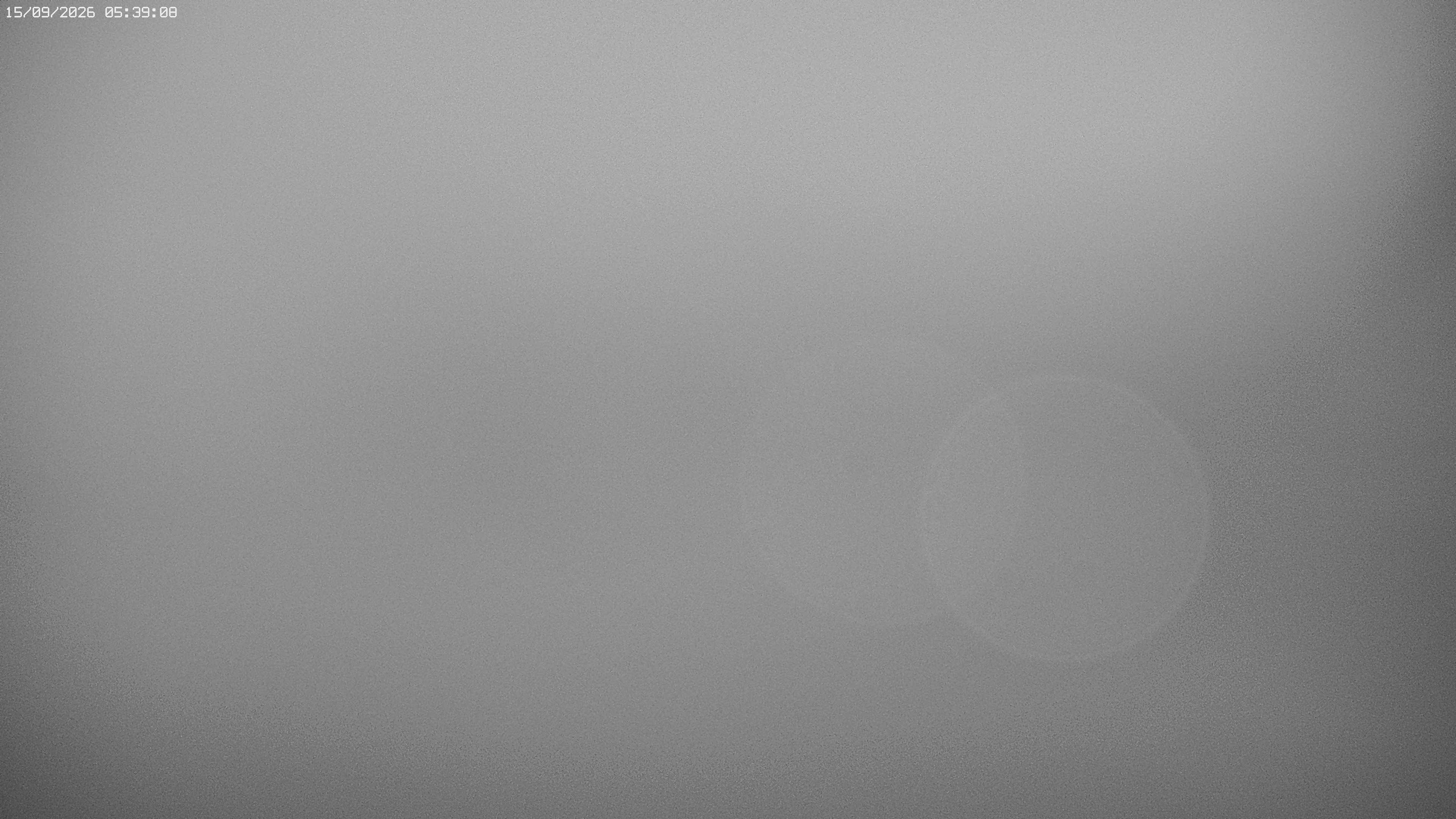 Archiv Foto Webcam Jägeralpe bei Warth