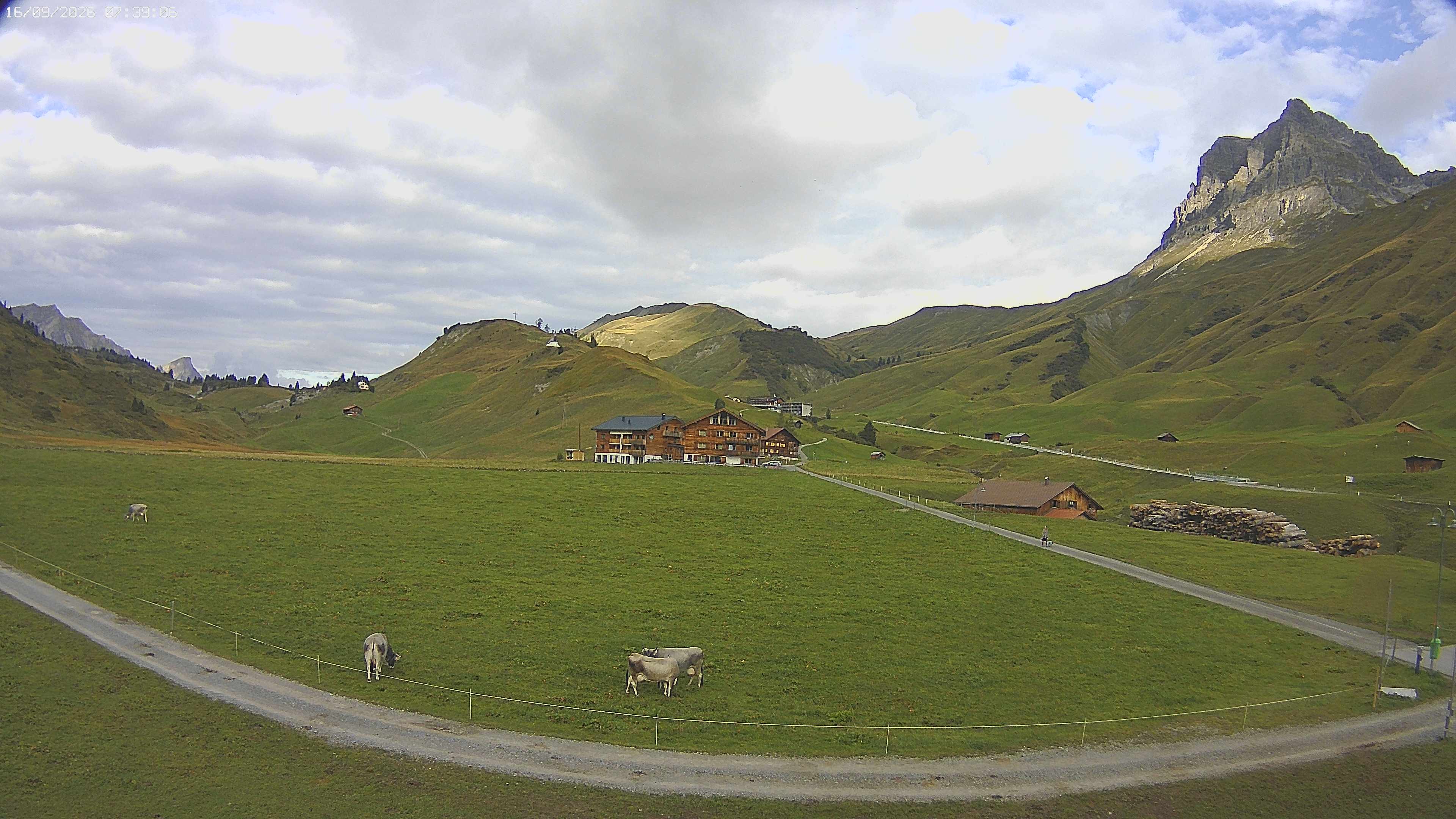Archived image Webcam Jägeralpe near Warth