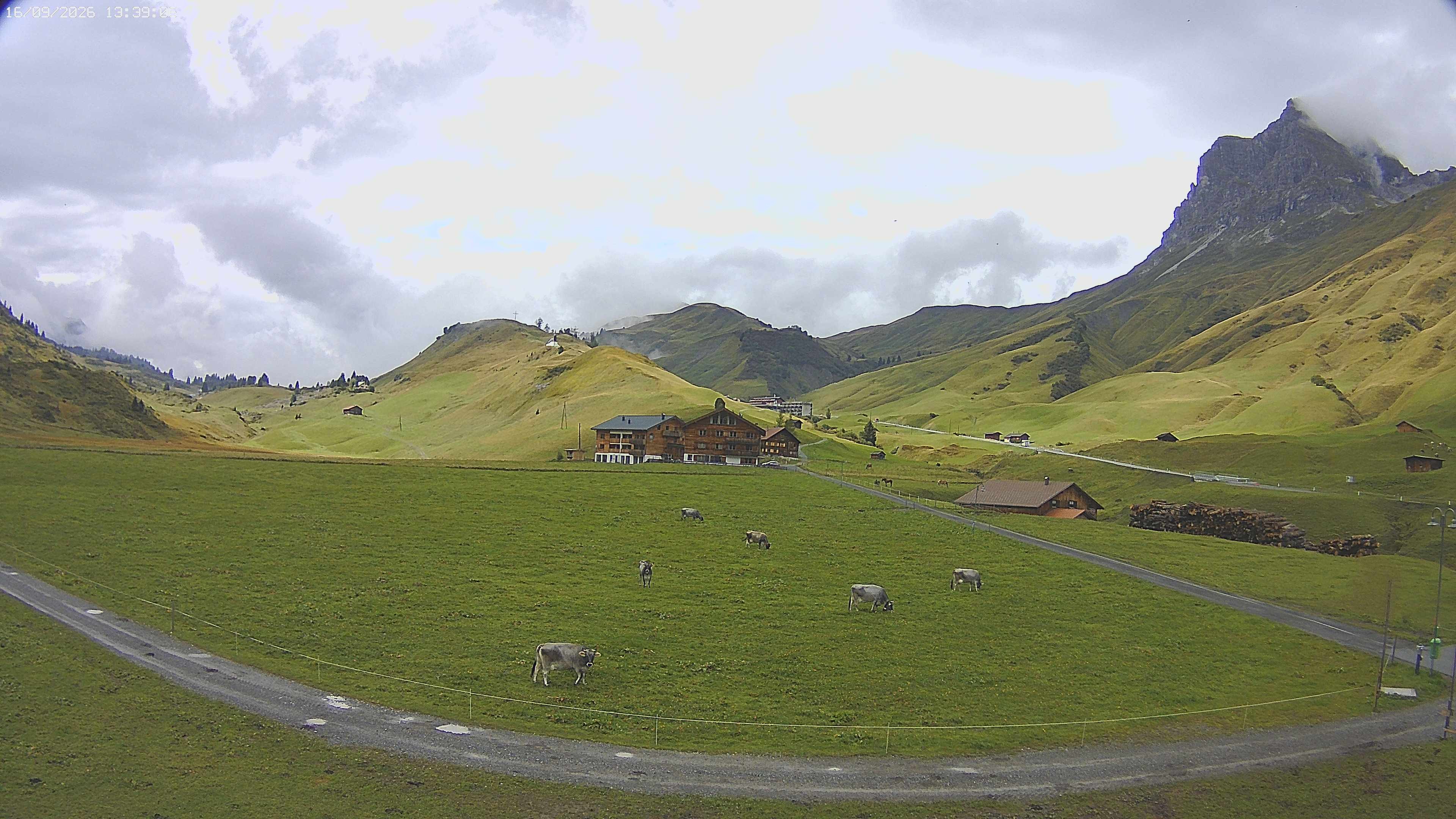 Archived image Webcam Jägeralpe near Warth