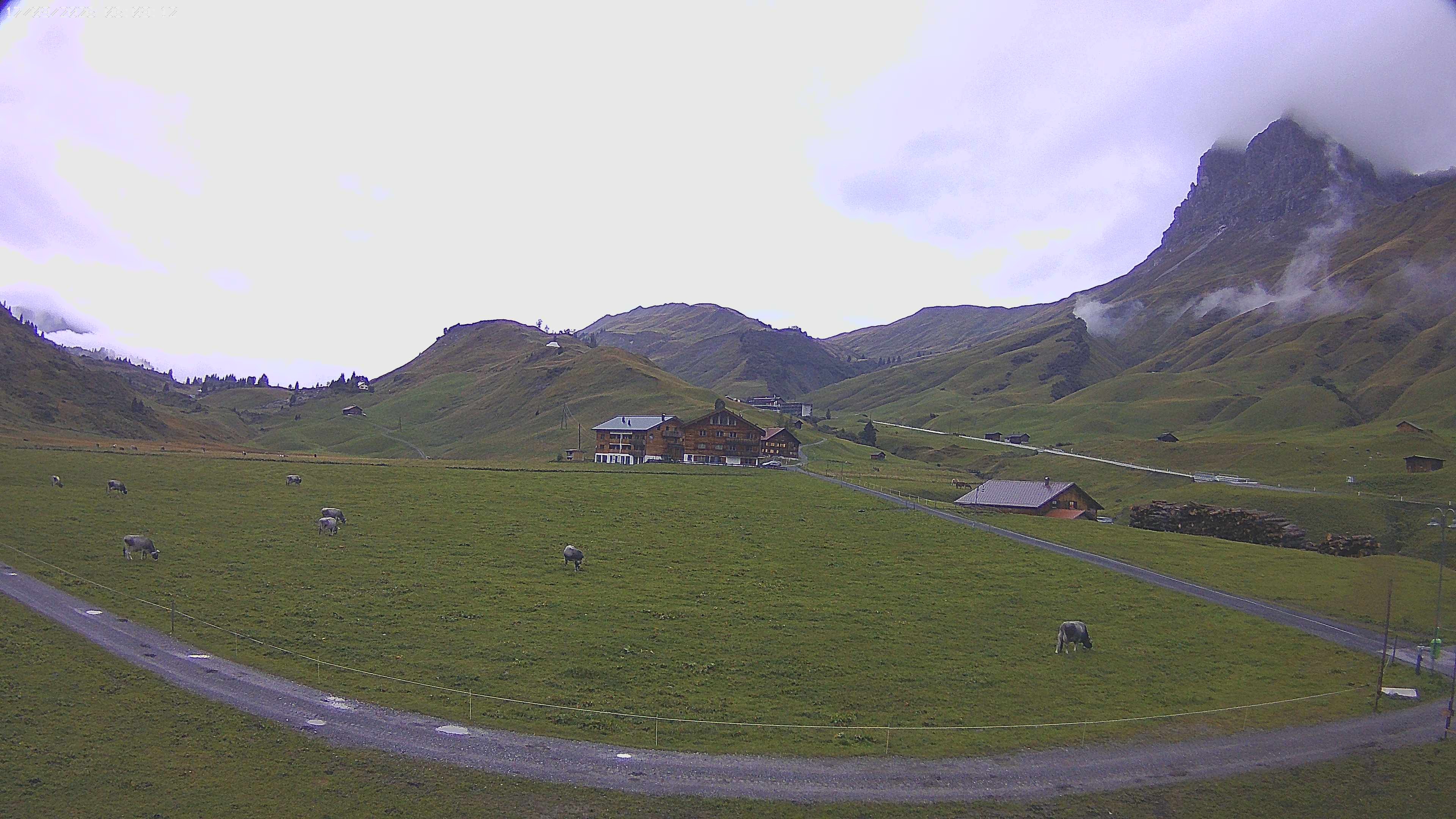 Archiv Foto Webcam Jägeralpe bei Warth