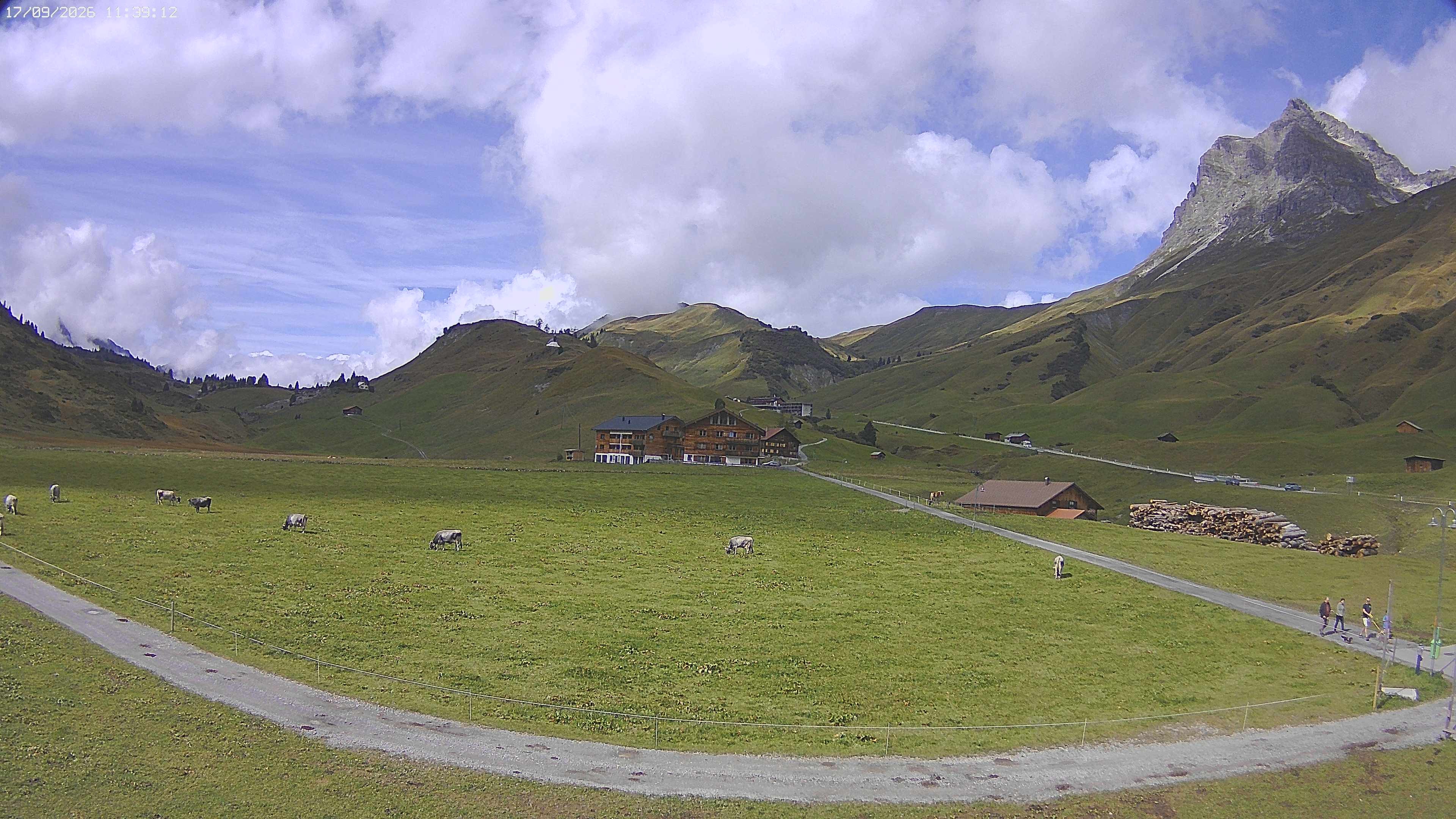 Archiv Foto Webcam Jägeralpe bei Warth