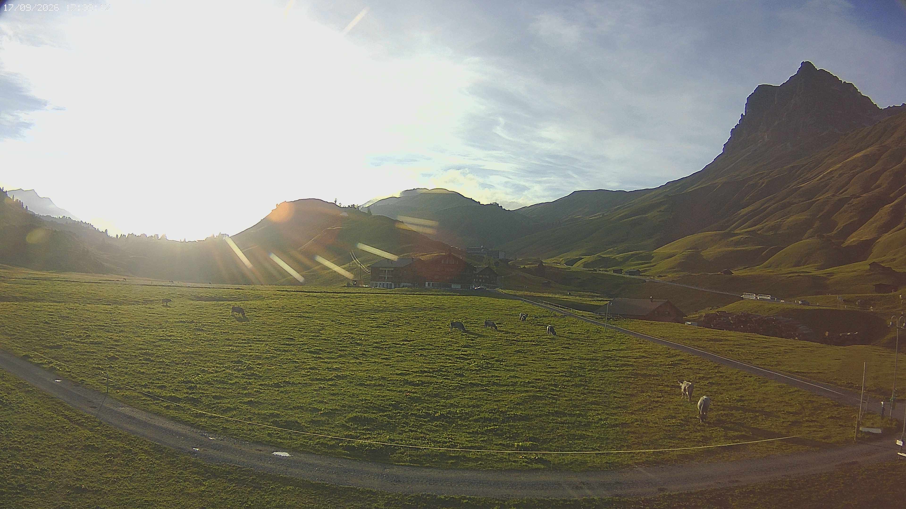 Archiv Foto Webcam Jägeralpe bei Warth