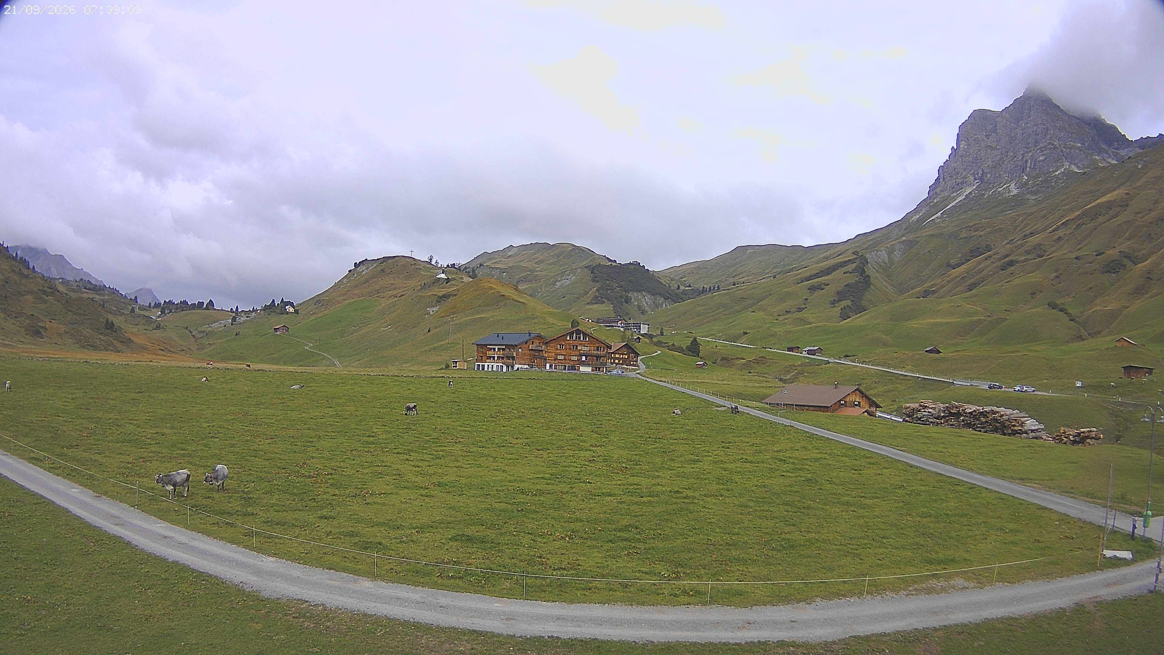 Archived image Webcam Jägeralpe near Warth