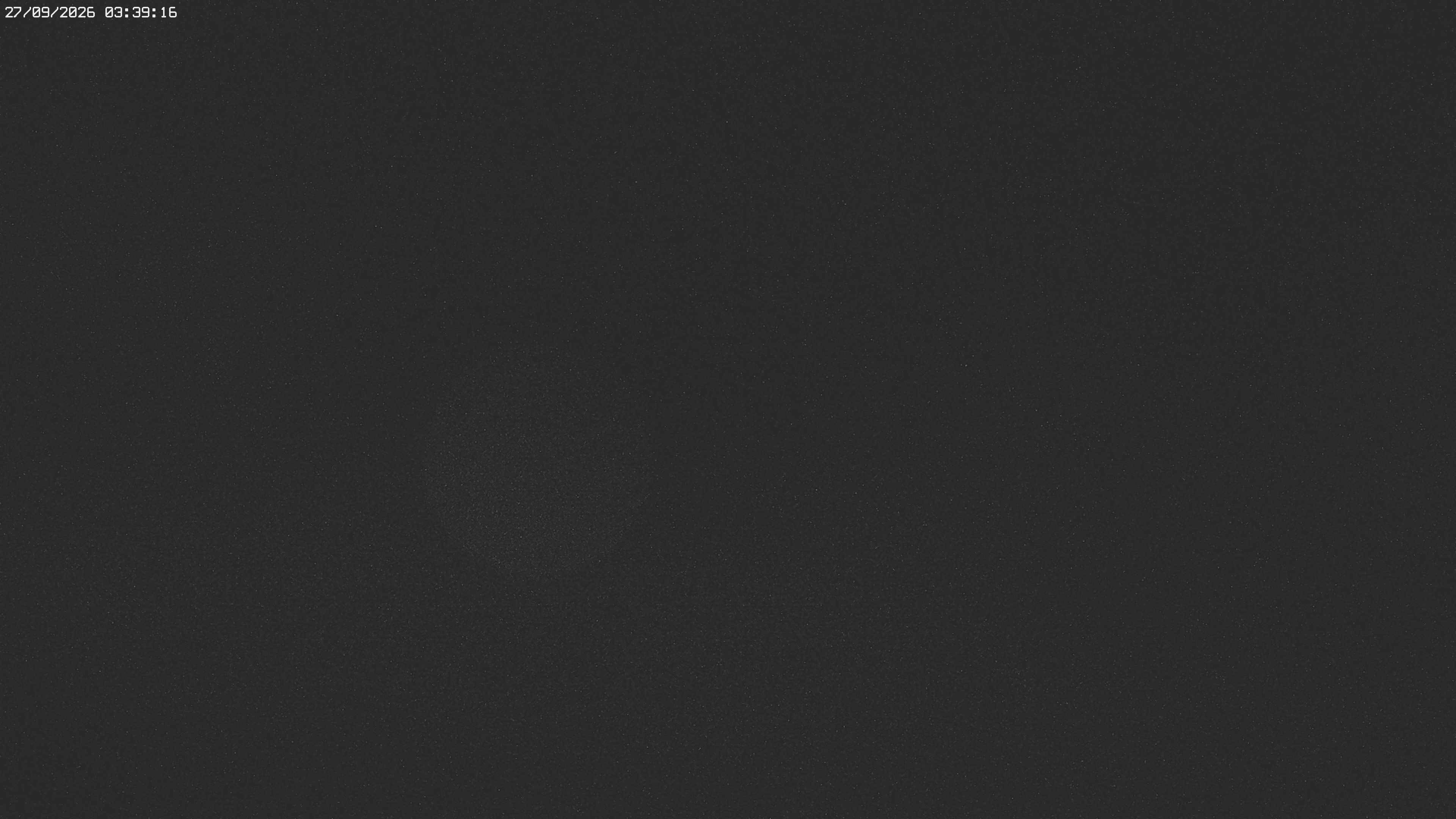 Archiv Foto Webcam Jägeralpe bei Warth