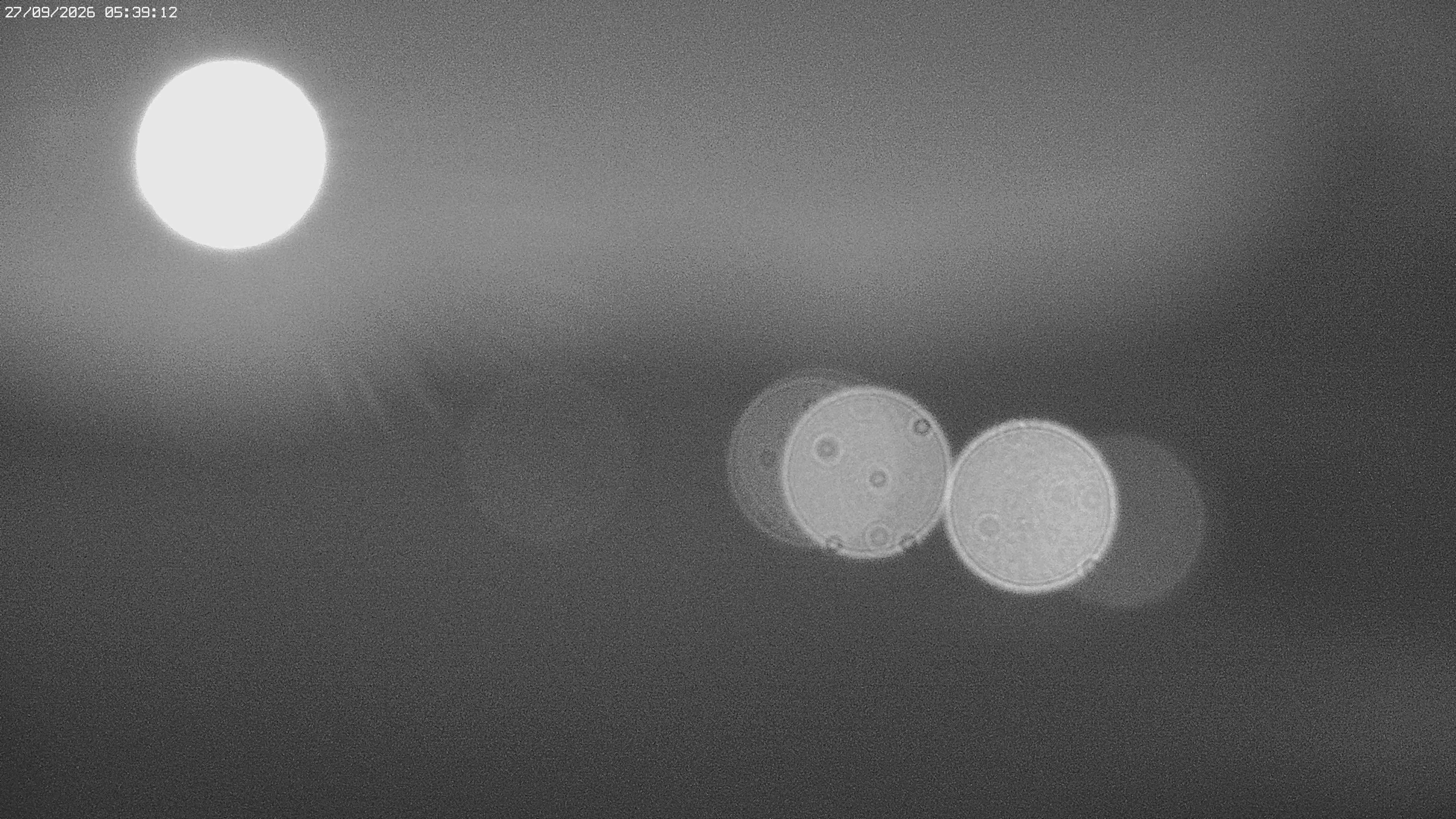 Archiv Foto Webcam Jägeralpe bei Warth