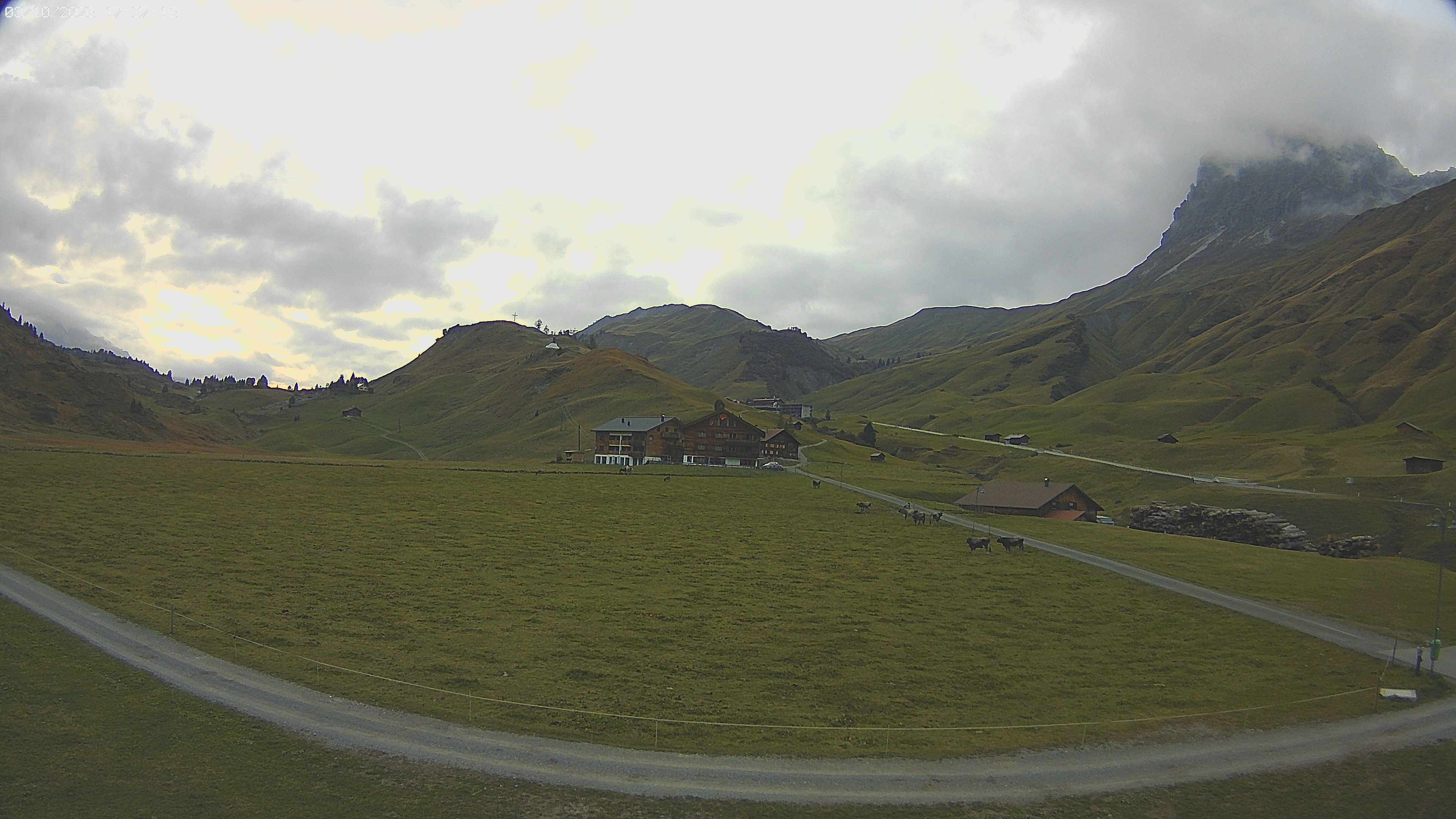 Archived image Webcam Jägeralpe near Warth