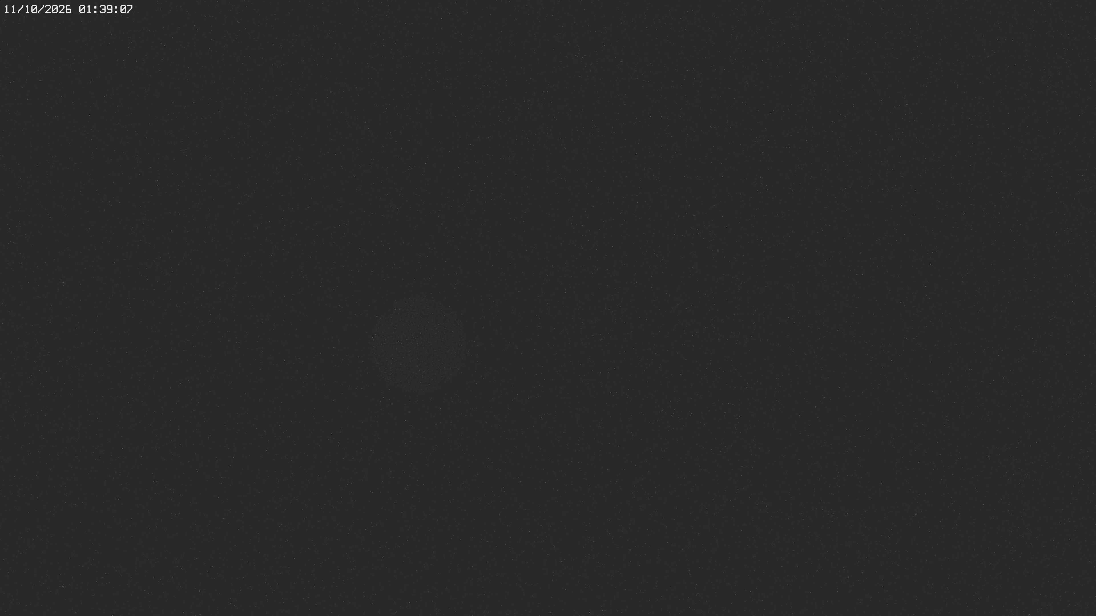 Archived image Webcam Jägeralpe near Warth