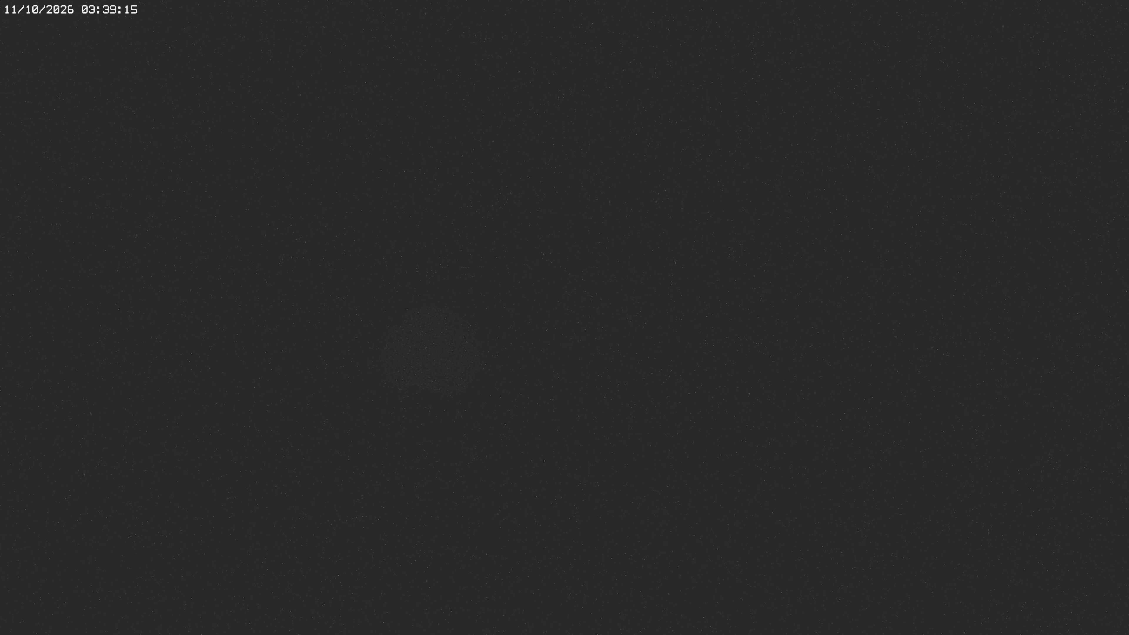 Archived image Webcam Jägeralpe near Warth