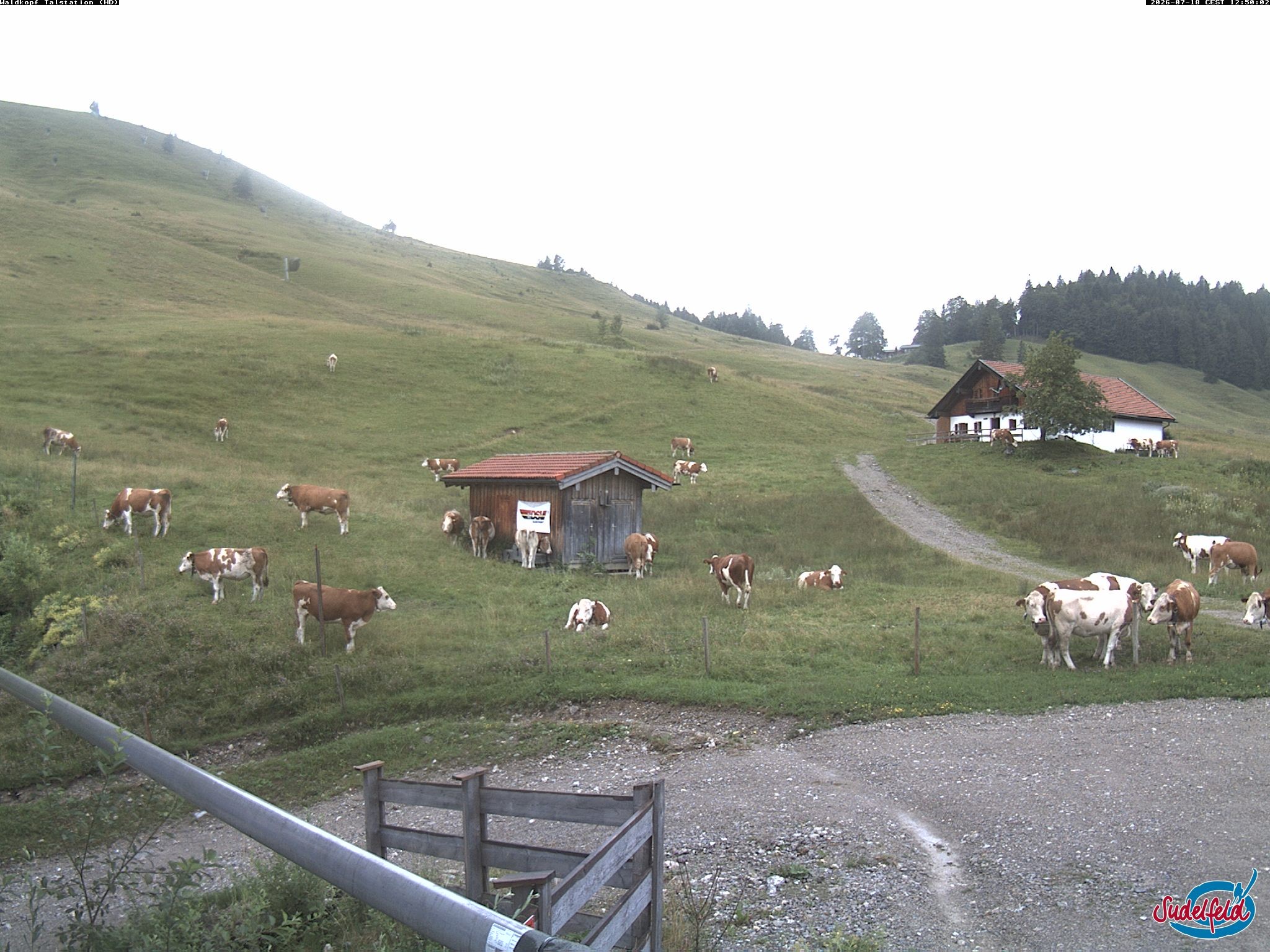 Archiv Foto Webcam Sudelfeld: Waldkopf Talstation
