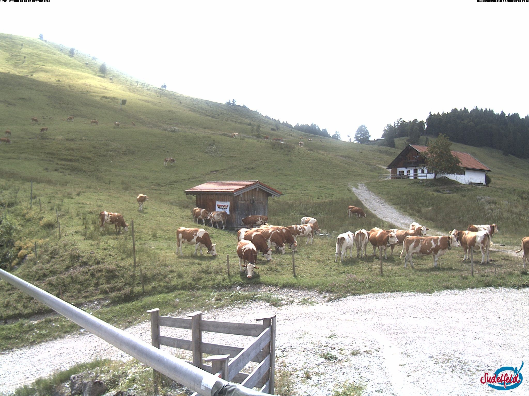 Archiv Foto Webcam Sudelfeld: Waldkopf Talstation