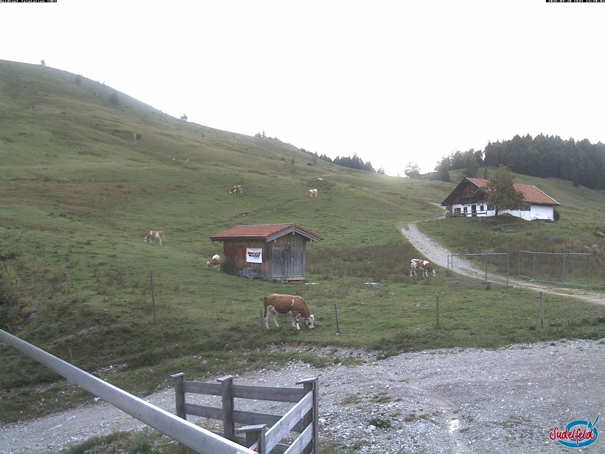 Archiv Foto Webcam Sudelfeld: Waldkopf Talstation