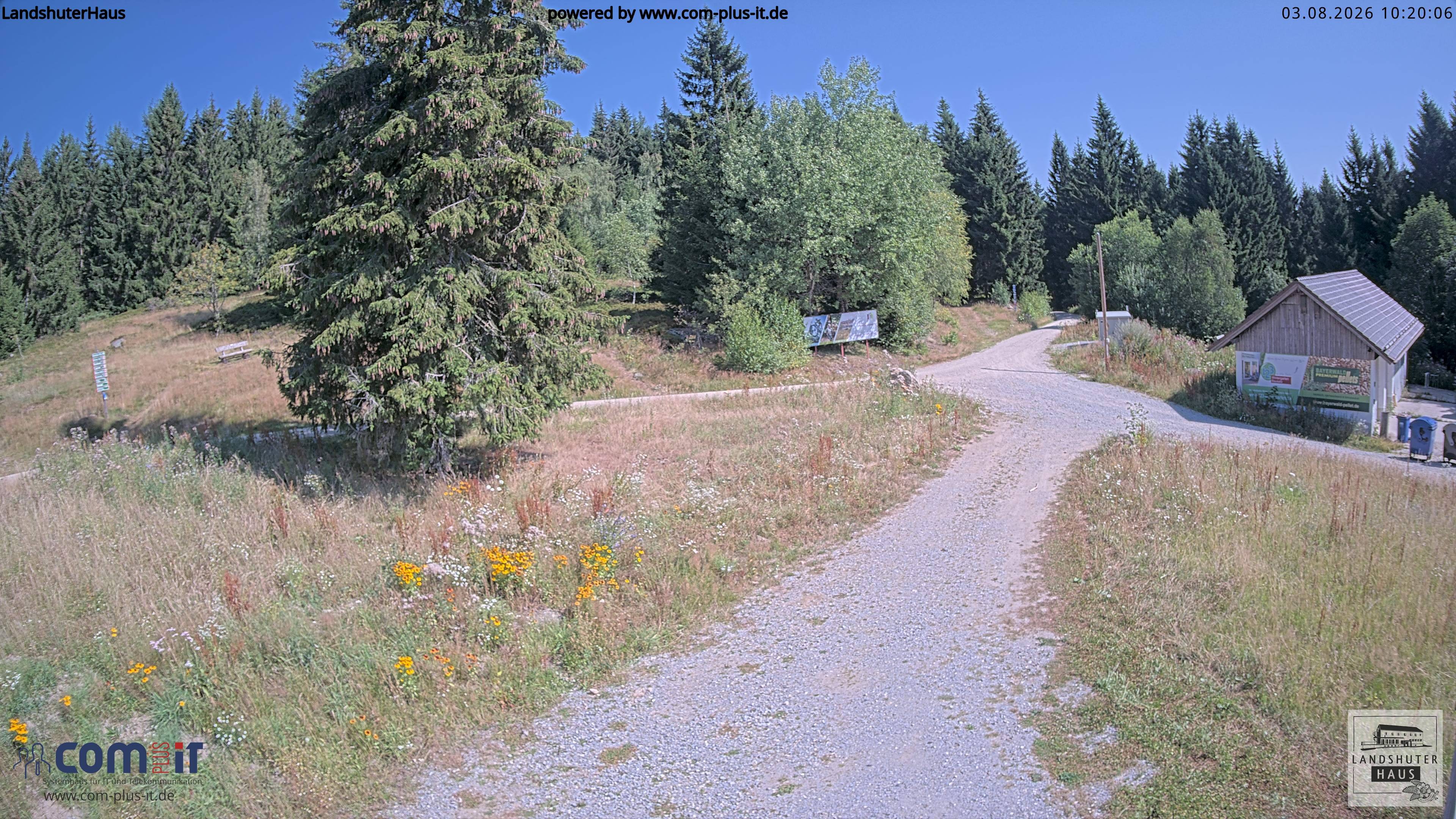 Archiv Foto Webcam Landshuter Haus in Oberbreitenau bei Bischofsmais