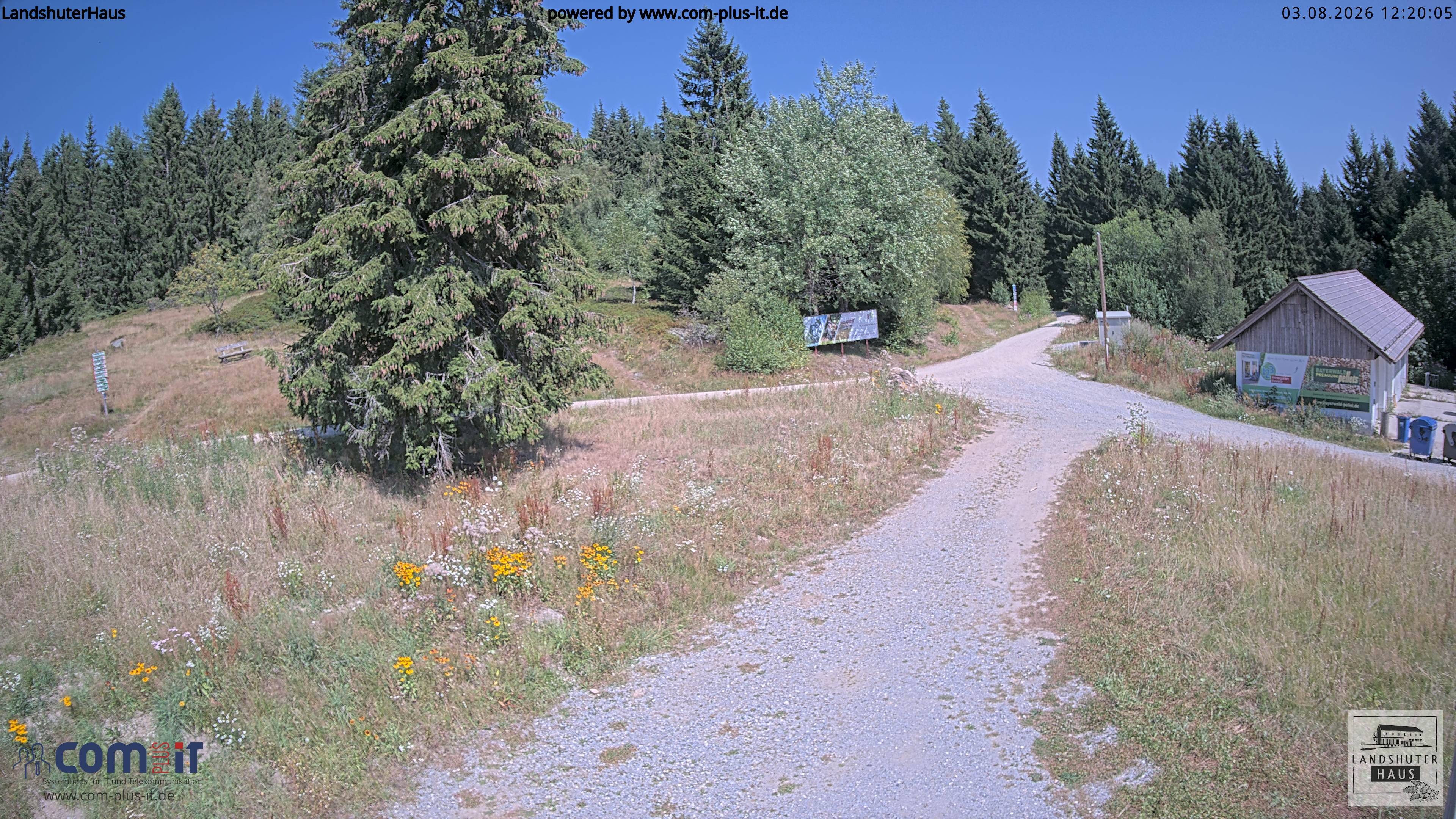 Archiv Foto Webcam Landshuter Haus in Oberbreitenau bei Bischofsmais