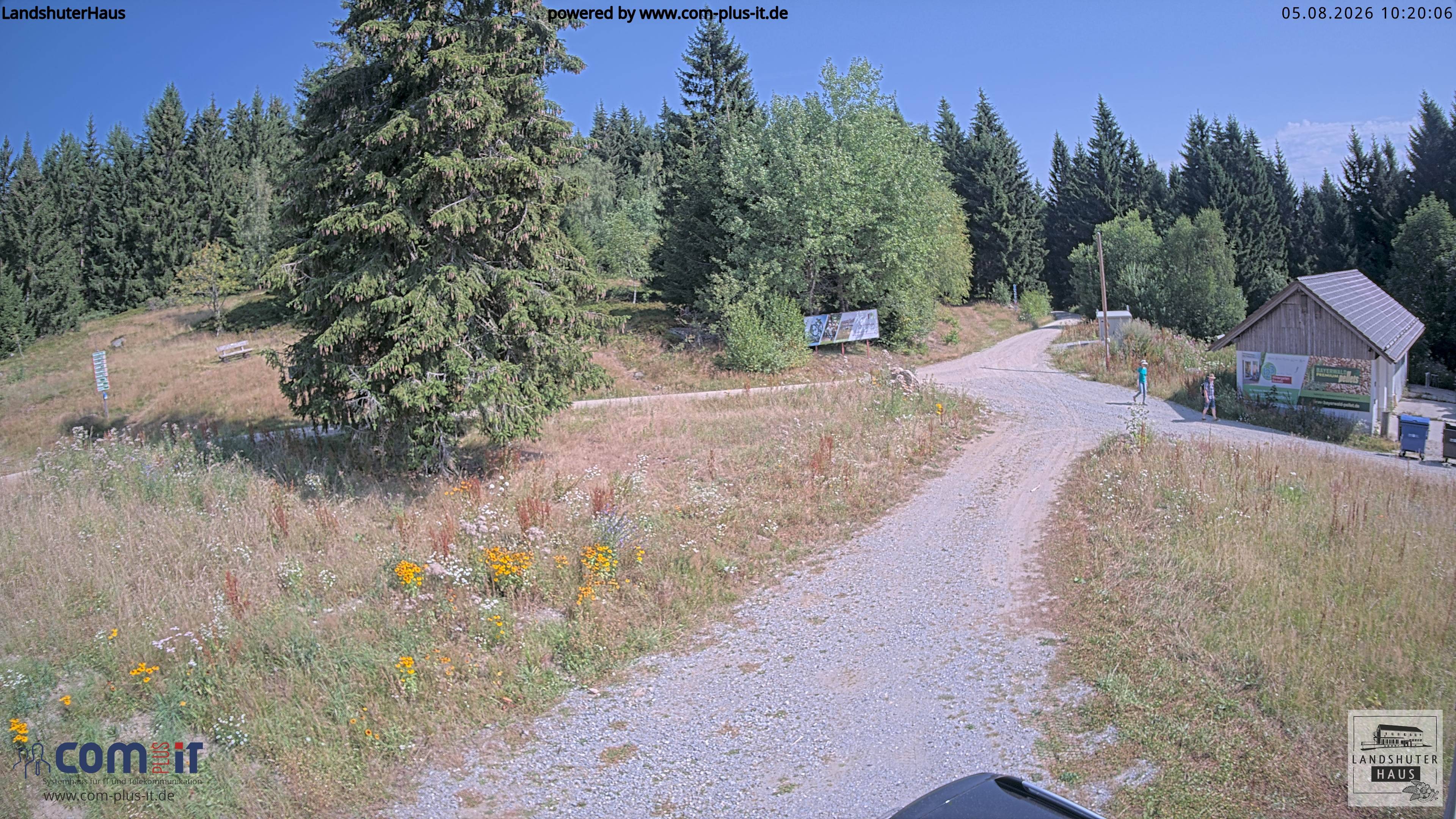 Archiv Foto Webcam Landshuter Haus in Oberbreitenau bei Bischofsmais