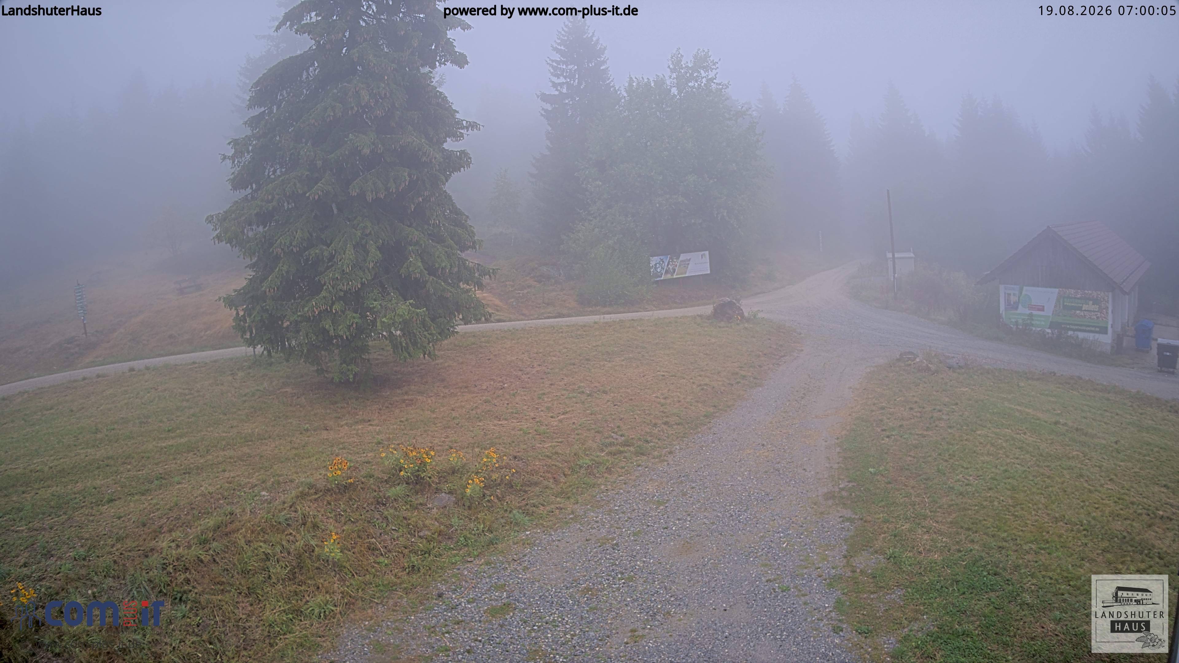 Archiv Foto Webcam Landshuter Haus in Oberbreitenau bei Bischofsmais