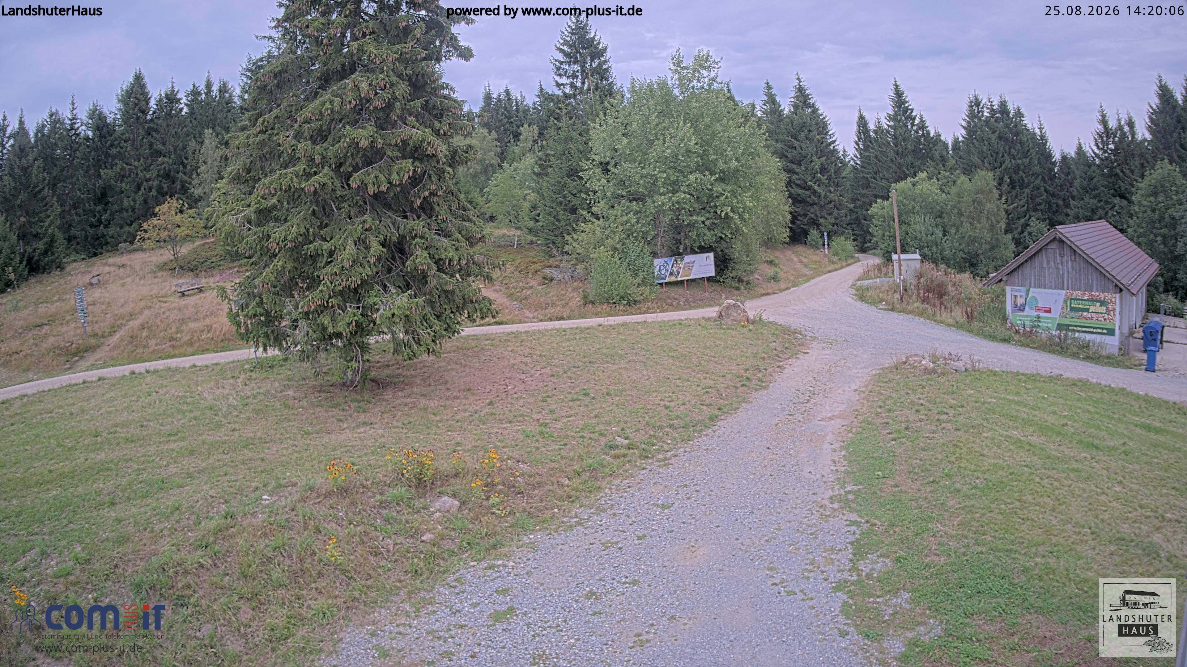 Archiv Foto Webcam Landshuter Haus in Oberbreitenau bei Bischofsmais