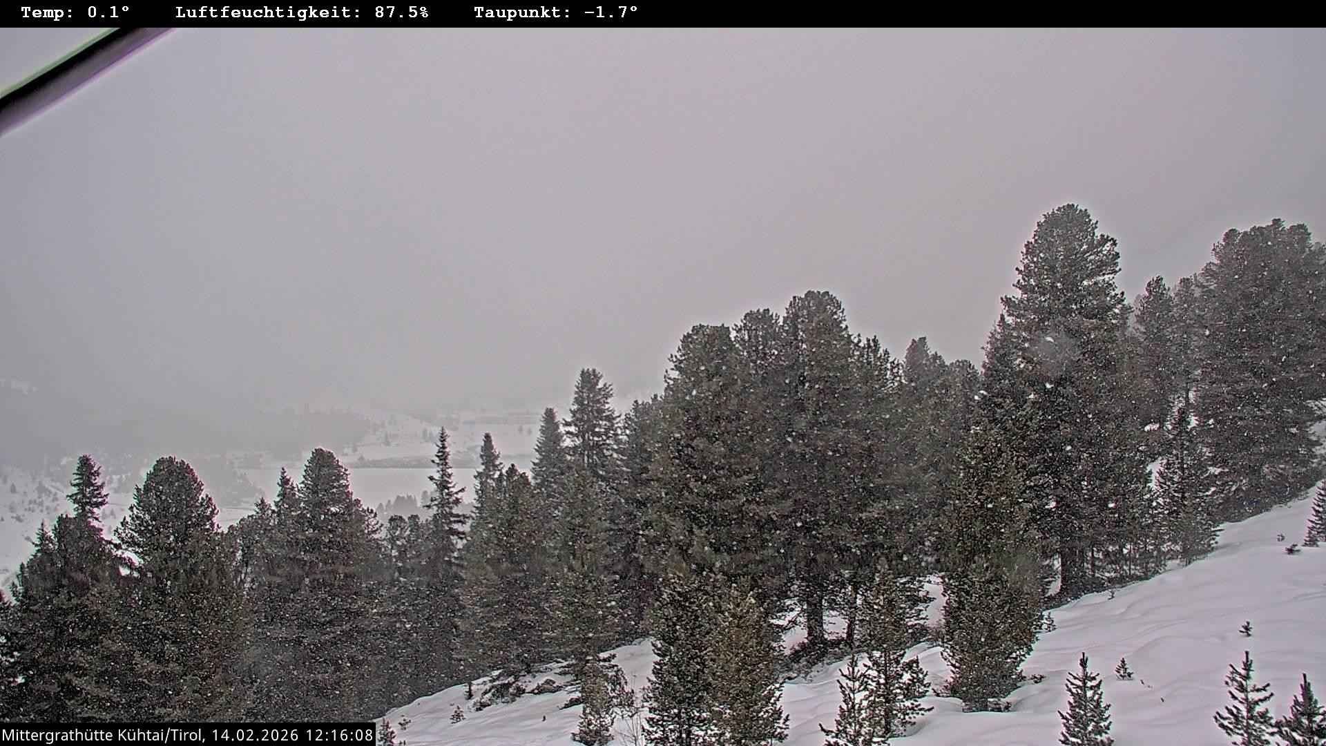 Archiv Foto Webcam Mittergrathütte in Tirol