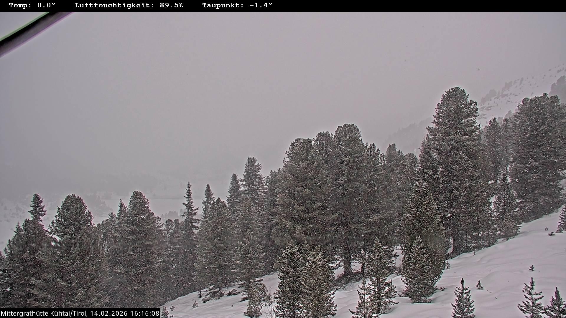 Archiv Foto Webcam Mittergrathütte in Tirol