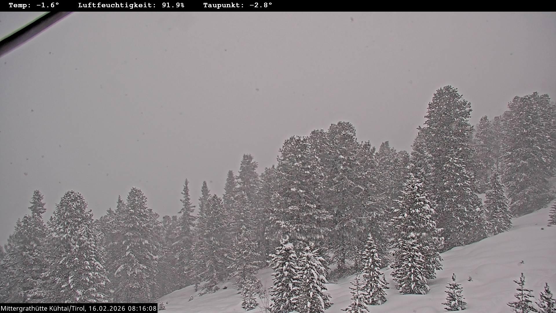 Archiv Foto Webcam Mittergrathütte in Tirol