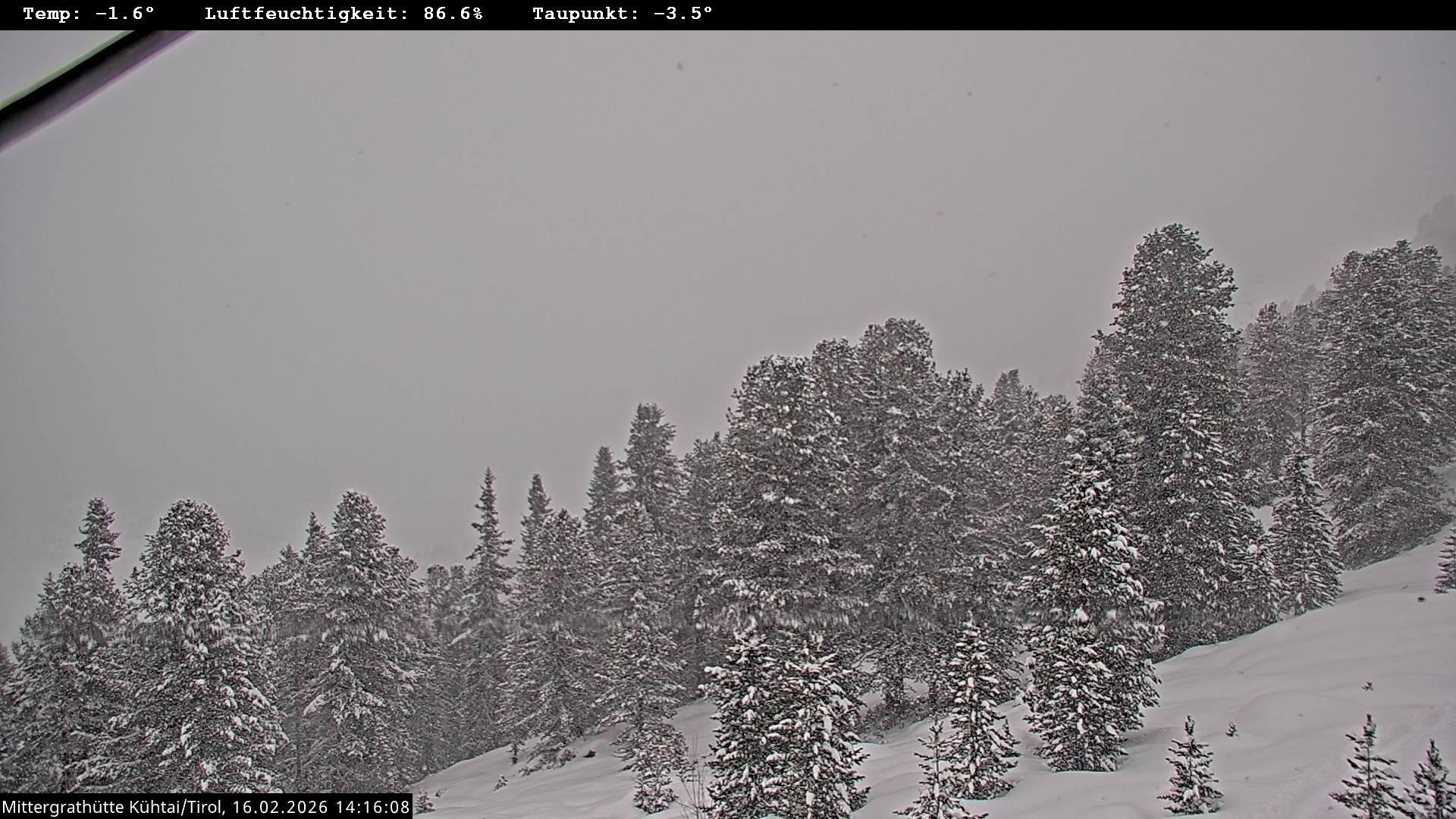 Archiv Foto Webcam Mittergrathütte in Tirol