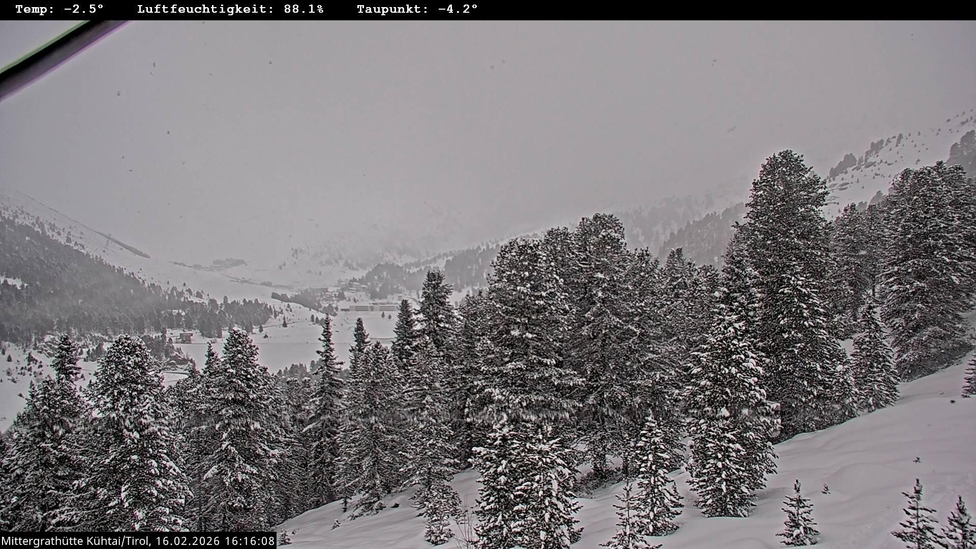 Archiv Foto Webcam Mittergrathütte in Tirol