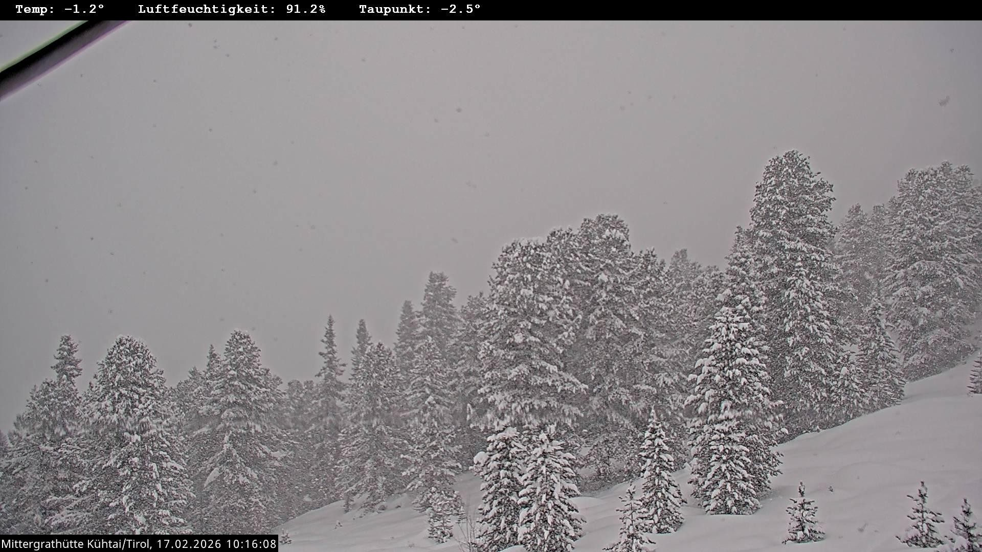 Archiv Foto Webcam Mittergrathütte in Tirol