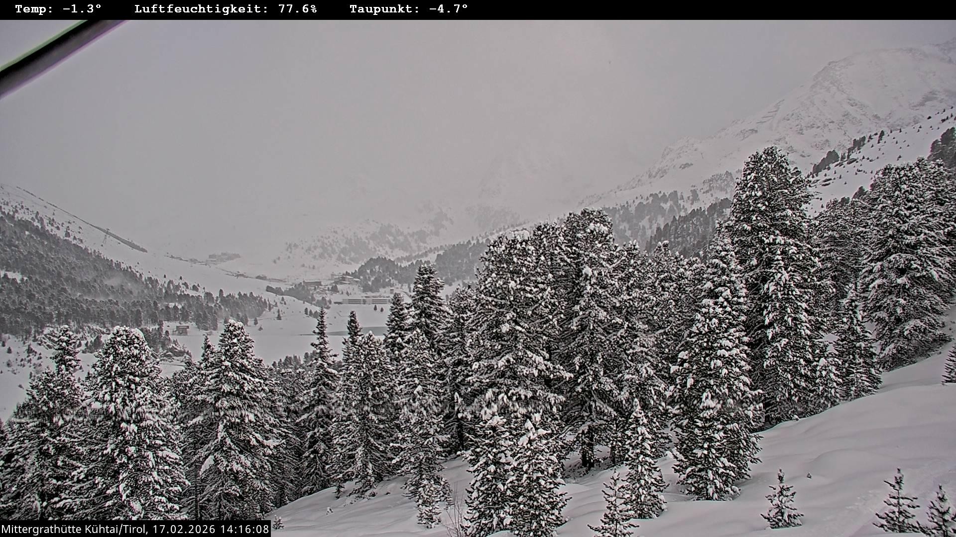 Archiv Foto Webcam Mittergrathütte in Tirol
