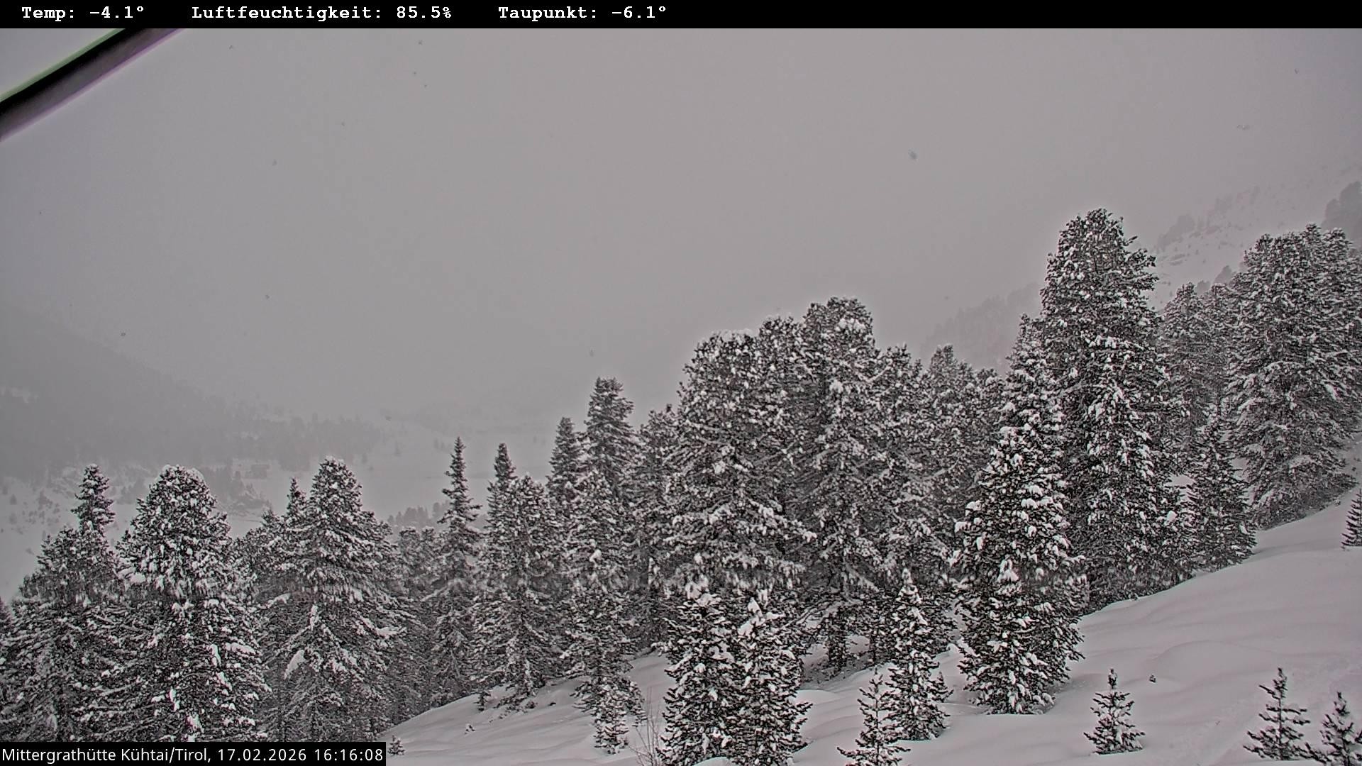 Archiv Foto Webcam Mittergrathütte in Tirol