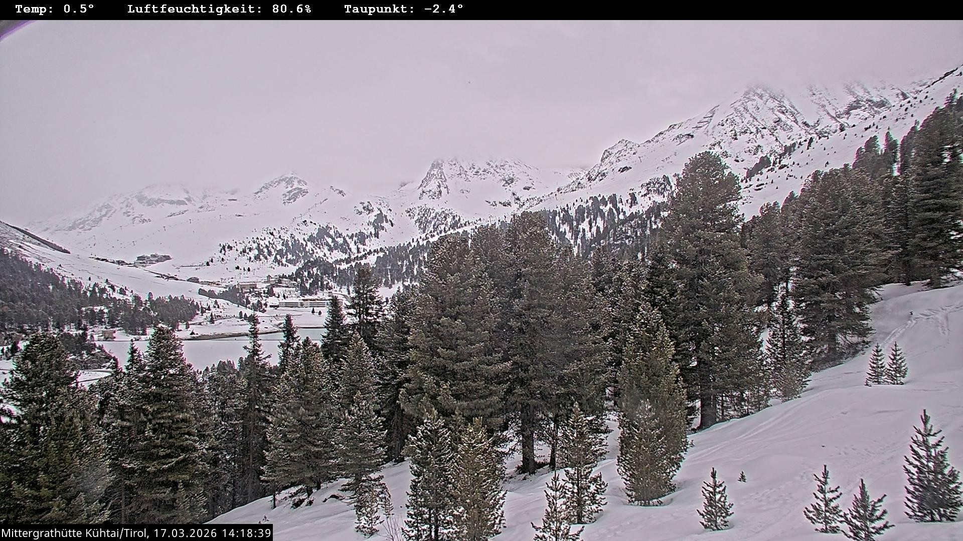 Archiv Foto Webcam Mittergrathütte in Tirol