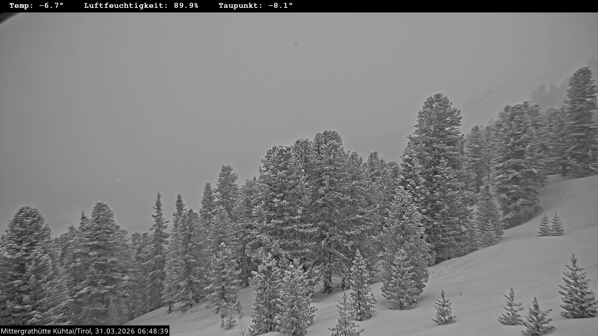 Archiv Foto Webcam Mittergrathütte in Tirol