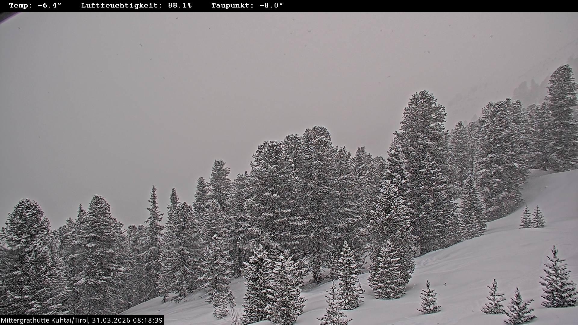Archiv Foto Webcam Mittergrathütte in Tirol