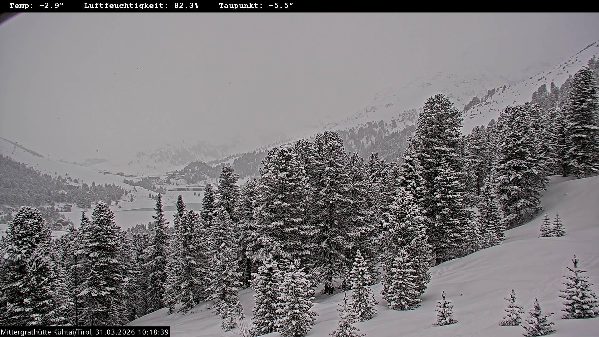 Archiv Foto Webcam Mittergrathütte in Tirol
