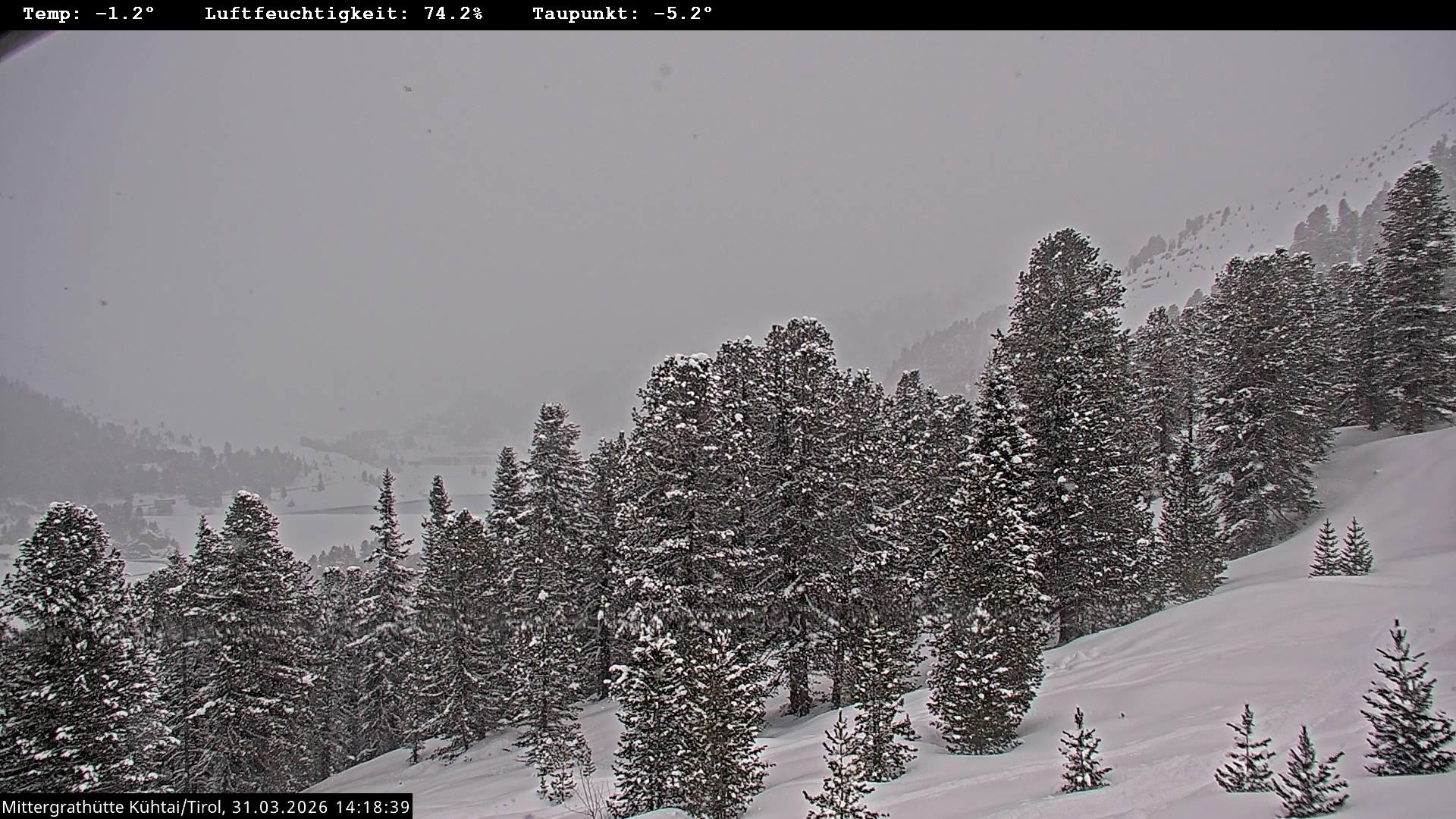 Archiv Foto Webcam Mittergrathütte in Tirol