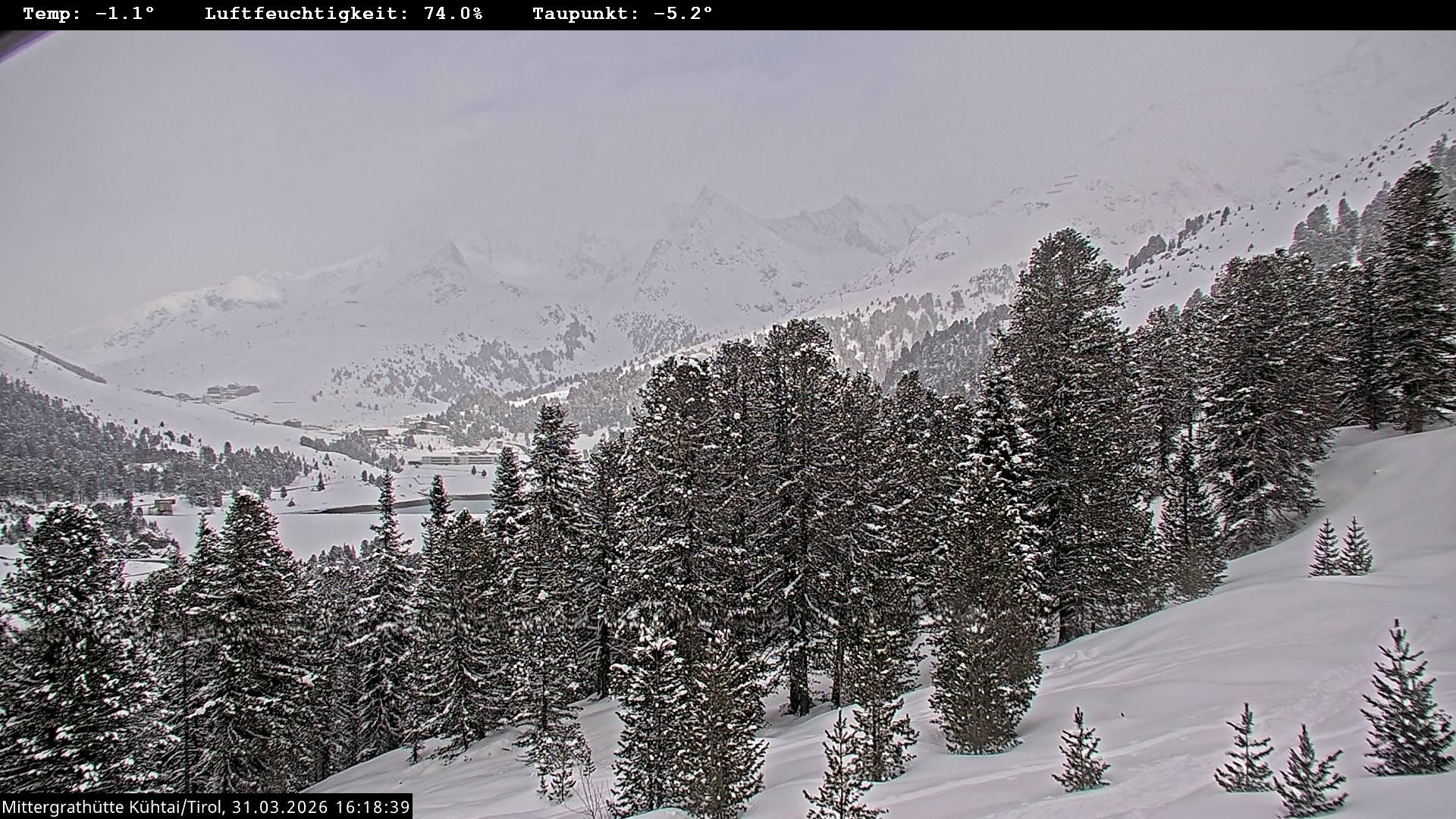 Archiv Foto Webcam Mittergrathütte in Tirol