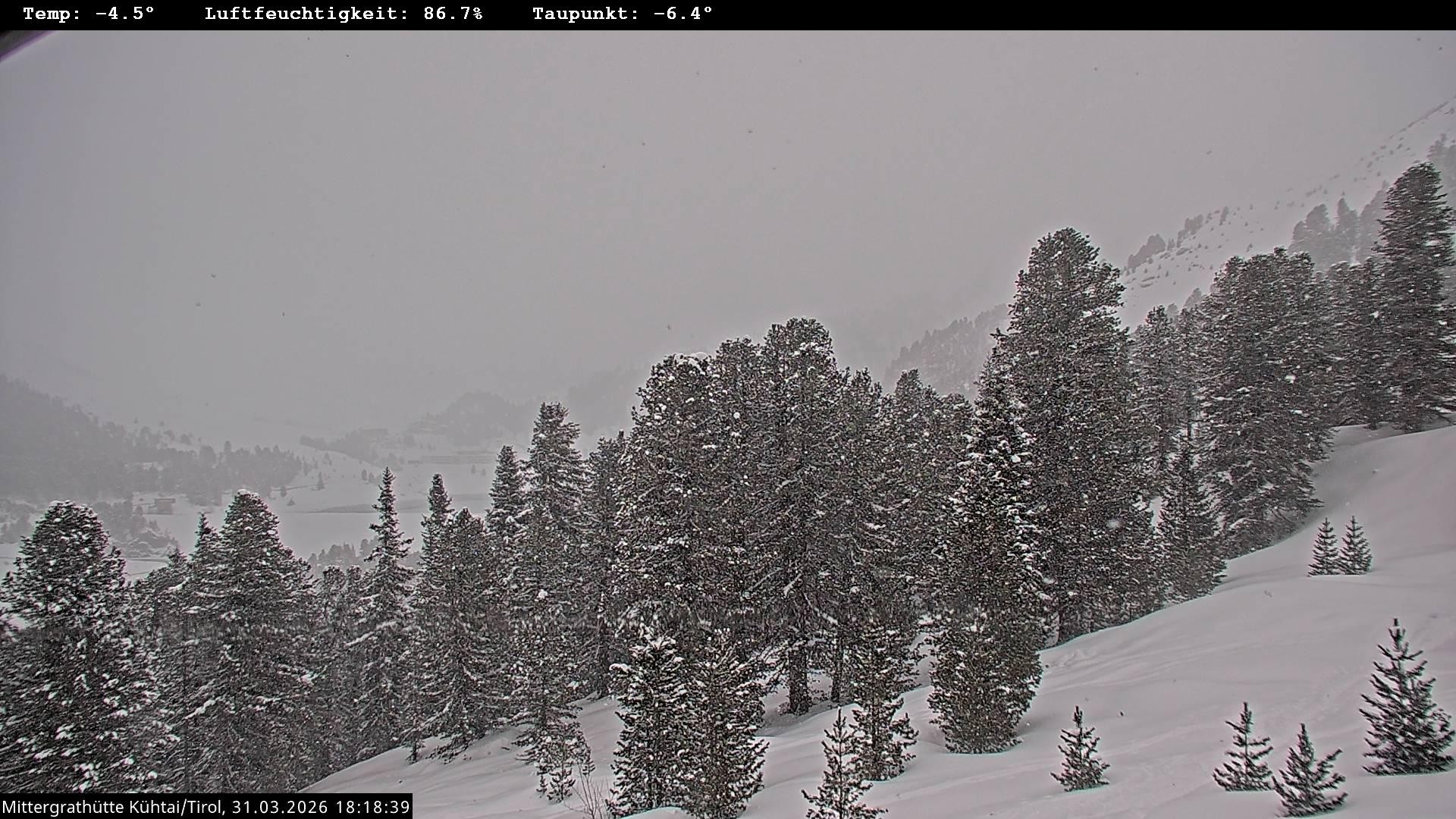 Archiv Foto Webcam Mittergrathütte in Tirol