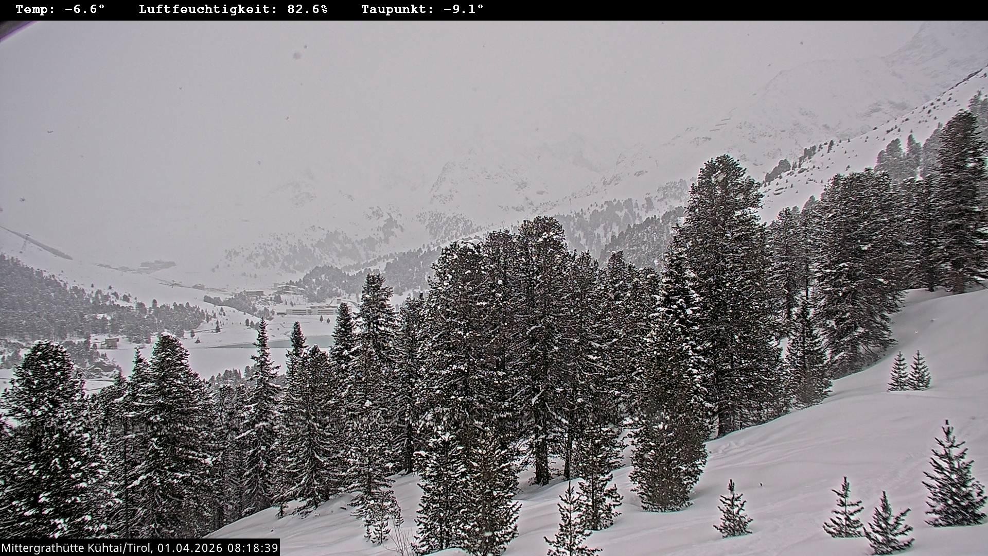 Archiv Foto Webcam Mittergrathütte in Tirol