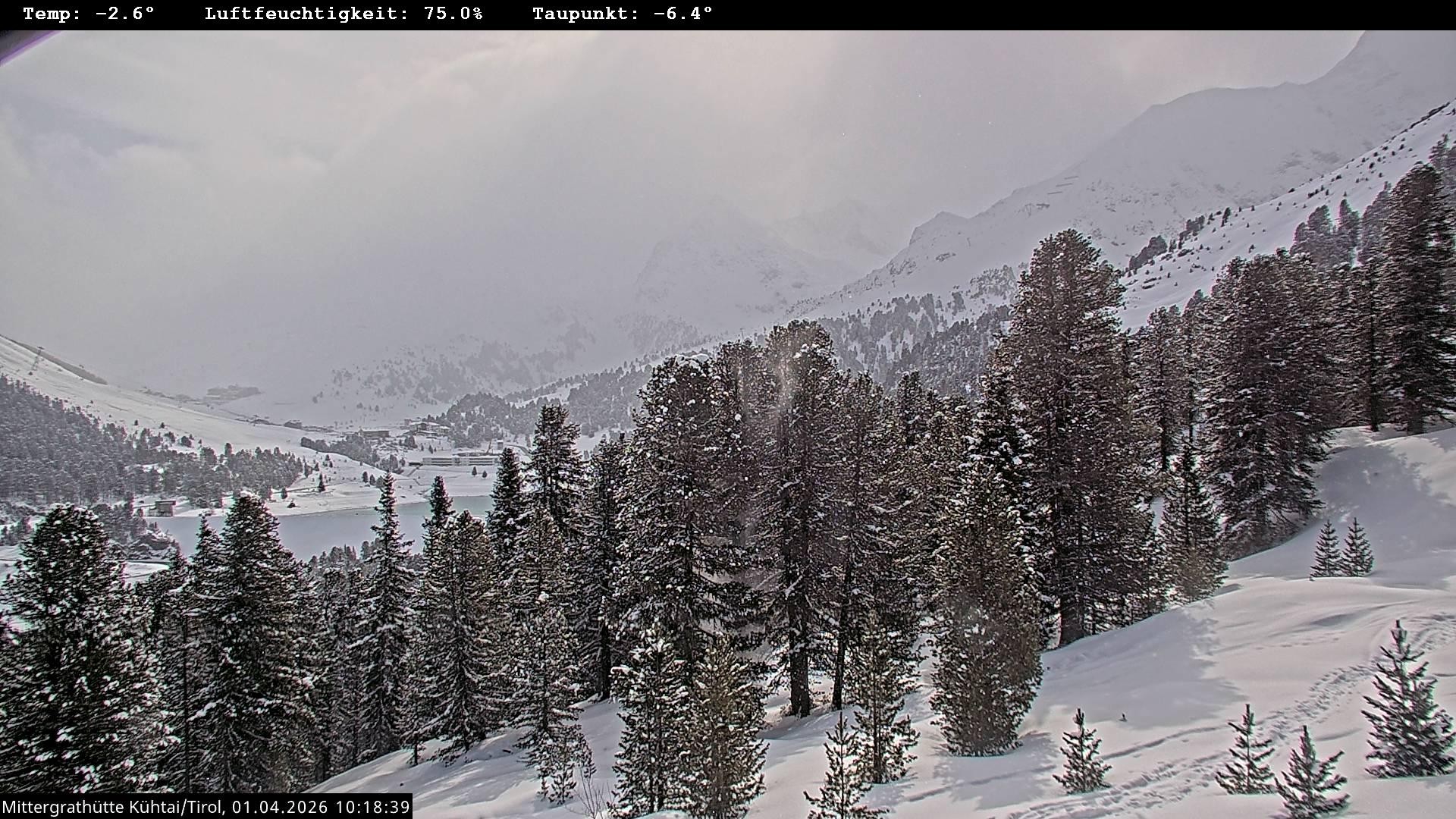 Archiv Foto Webcam Mittergrathütte in Tirol