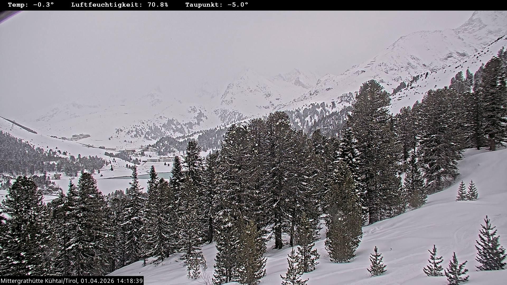 Archiv Foto Webcam Mittergrathütte in Tirol