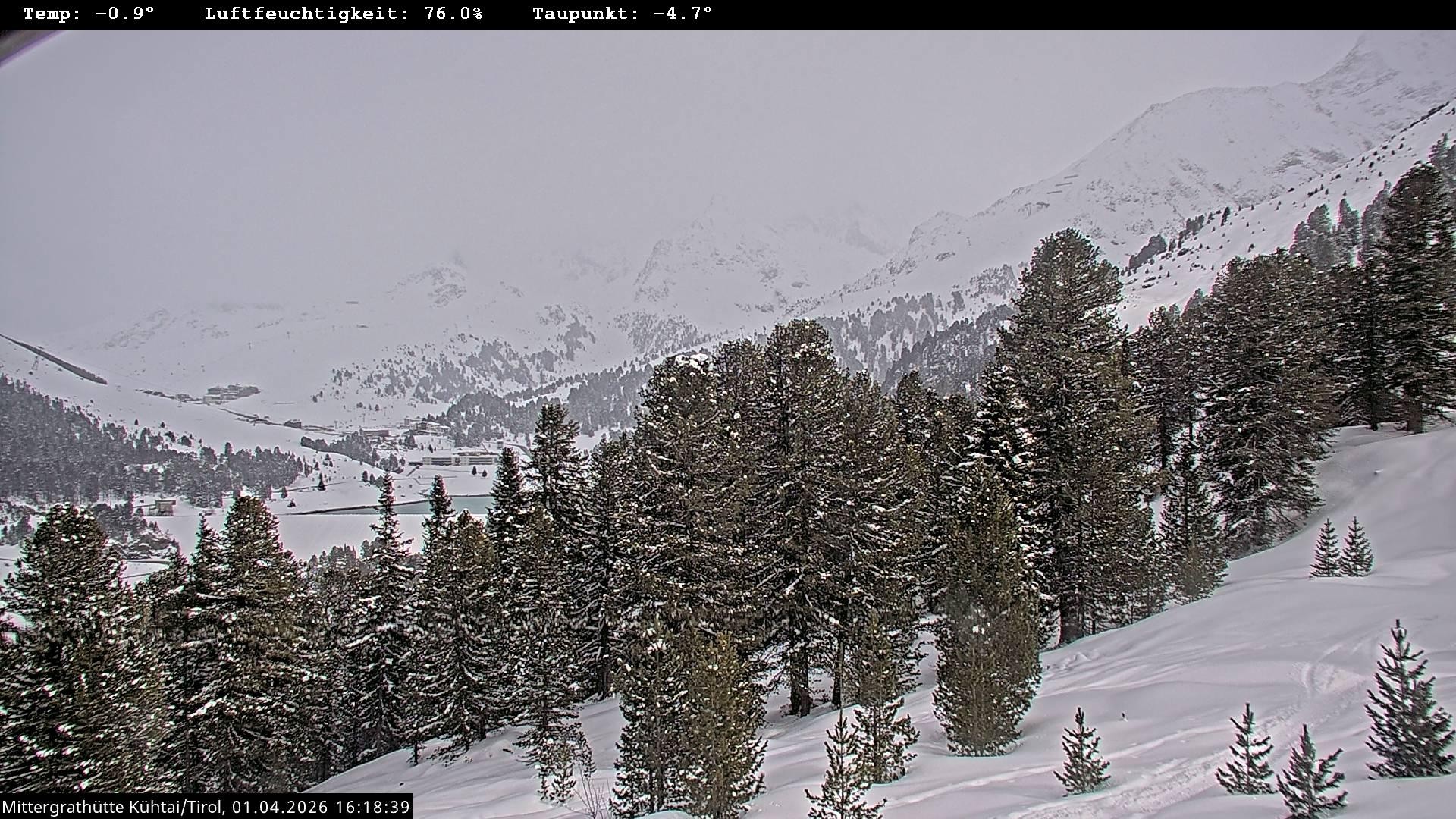 Archiv Foto Webcam Mittergrathütte in Tirol