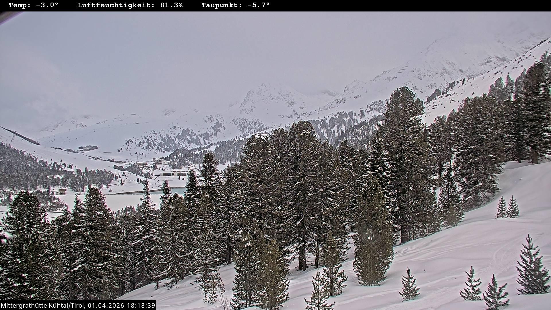 Archiv Foto Webcam Mittergrathütte in Tirol