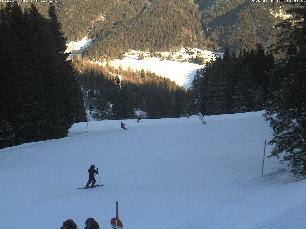 Archiv Foto Webcam Skiabfahrt "Stümpfling"